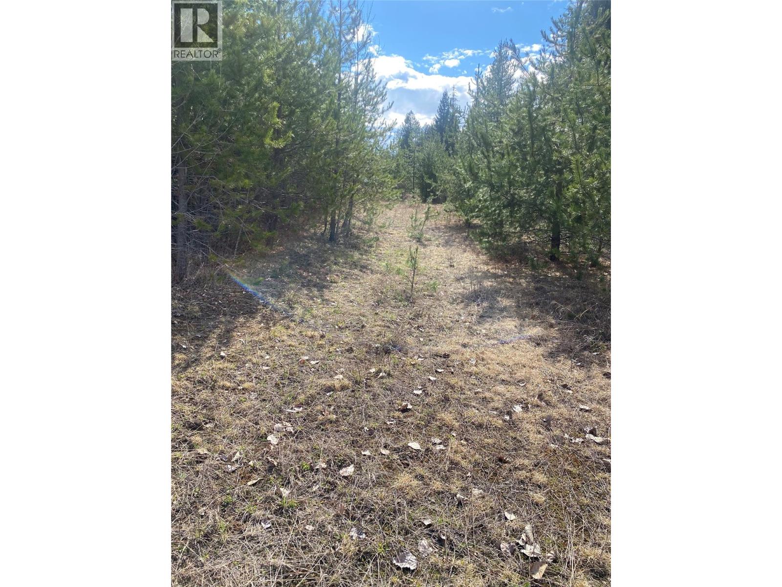 Kittyhawk Road Lot# Lot B, Kitchener, British Columbia  V0B 1W1 - Photo 10 - 10383035