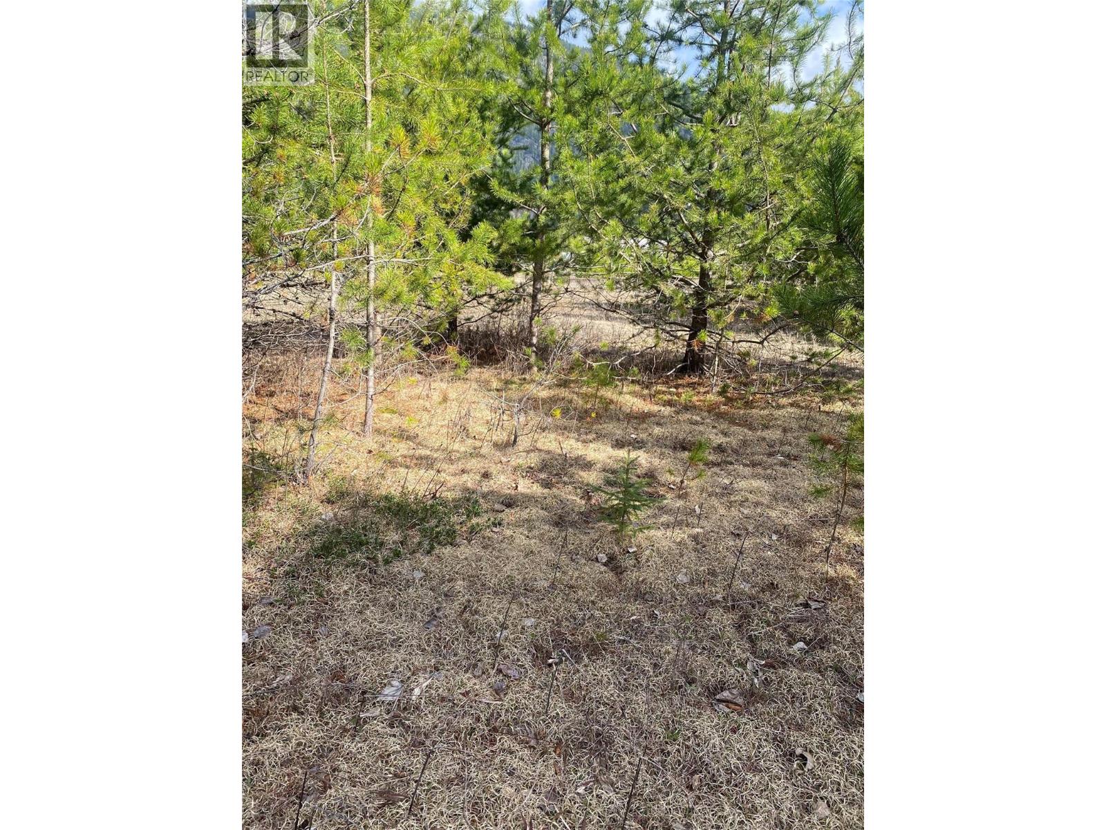 Kittyhawk Road Lot# Lot B, Kitchener, British Columbia  V0B 1W1 - Photo 11 - 10383035