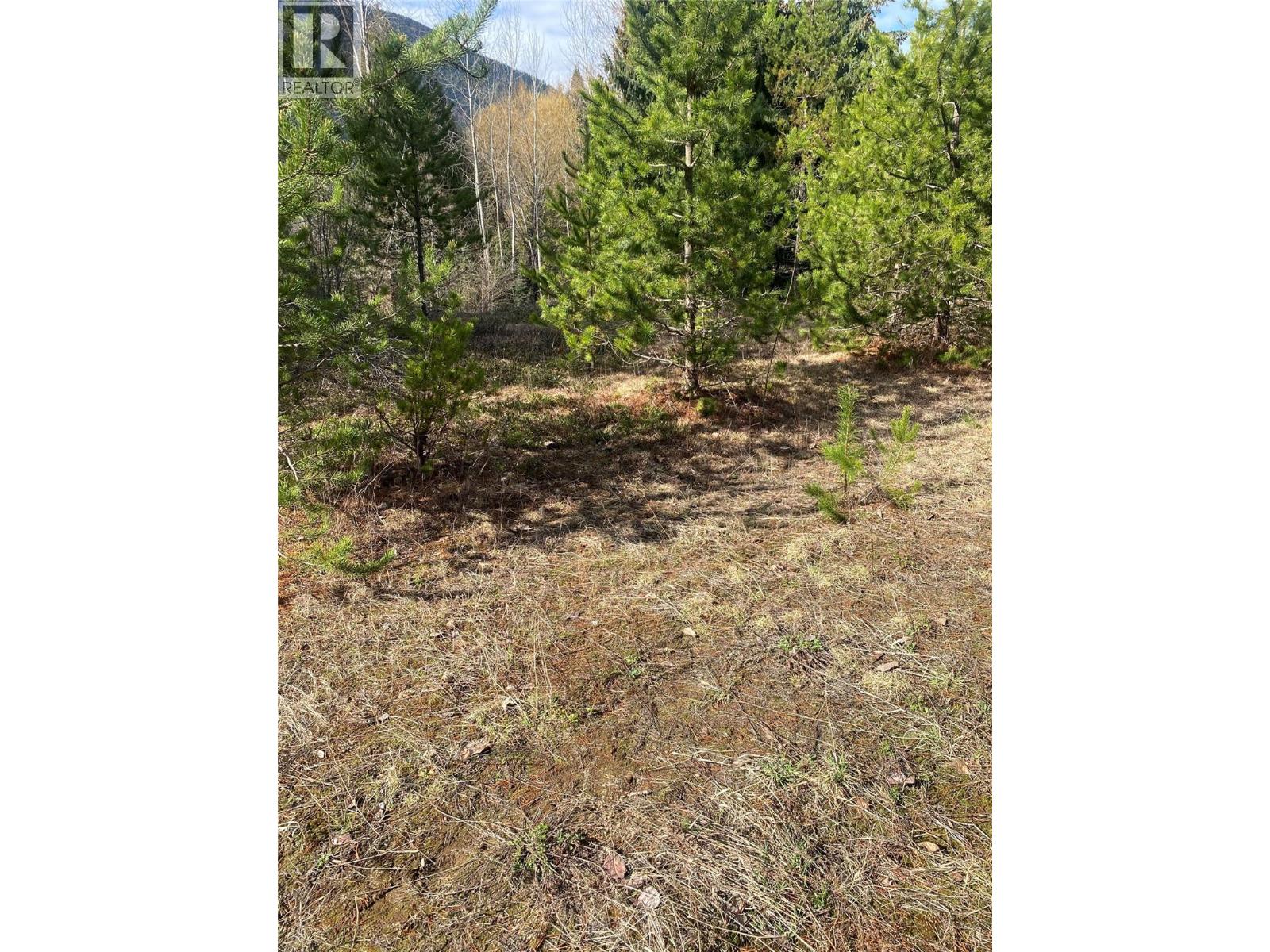 Kittyhawk Road Lot# Lot B, Kitchener, British Columbia  V0B 1W1 - Photo 12 - 10383035