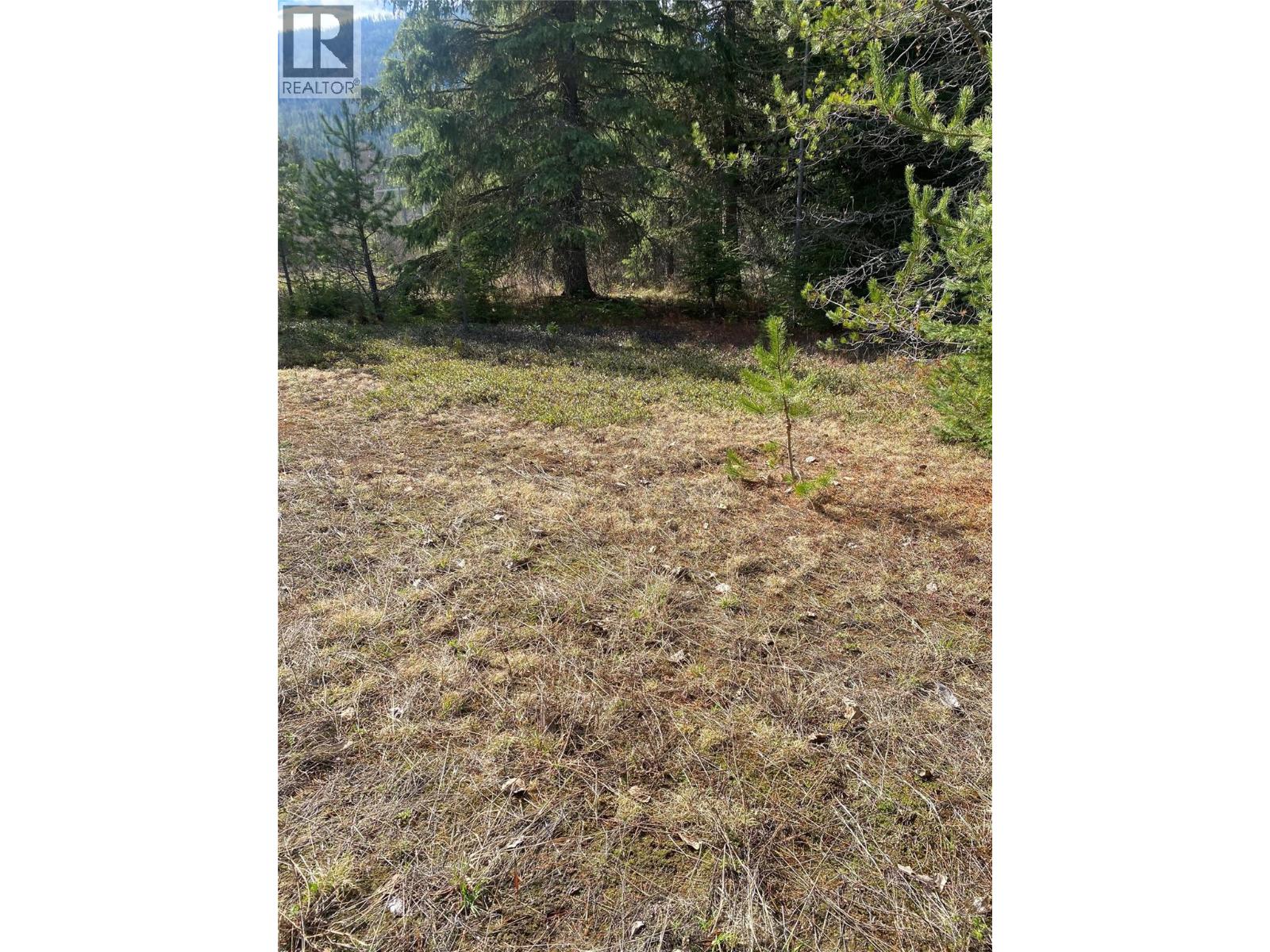 Kittyhawk Road Lot# Lot B, Kitchener, British Columbia  V0B 1W1 - Photo 13 - 10383035