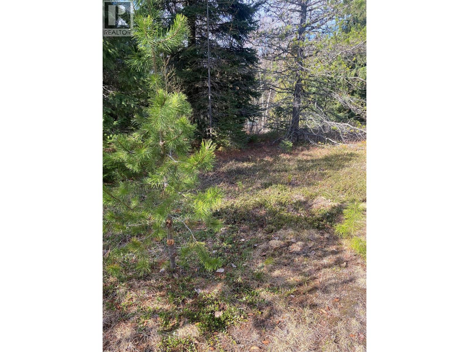Kittyhawk Road Lot# Lot B, Kitchener, British Columbia  V0B 1W1 - Photo 15 - 10383035