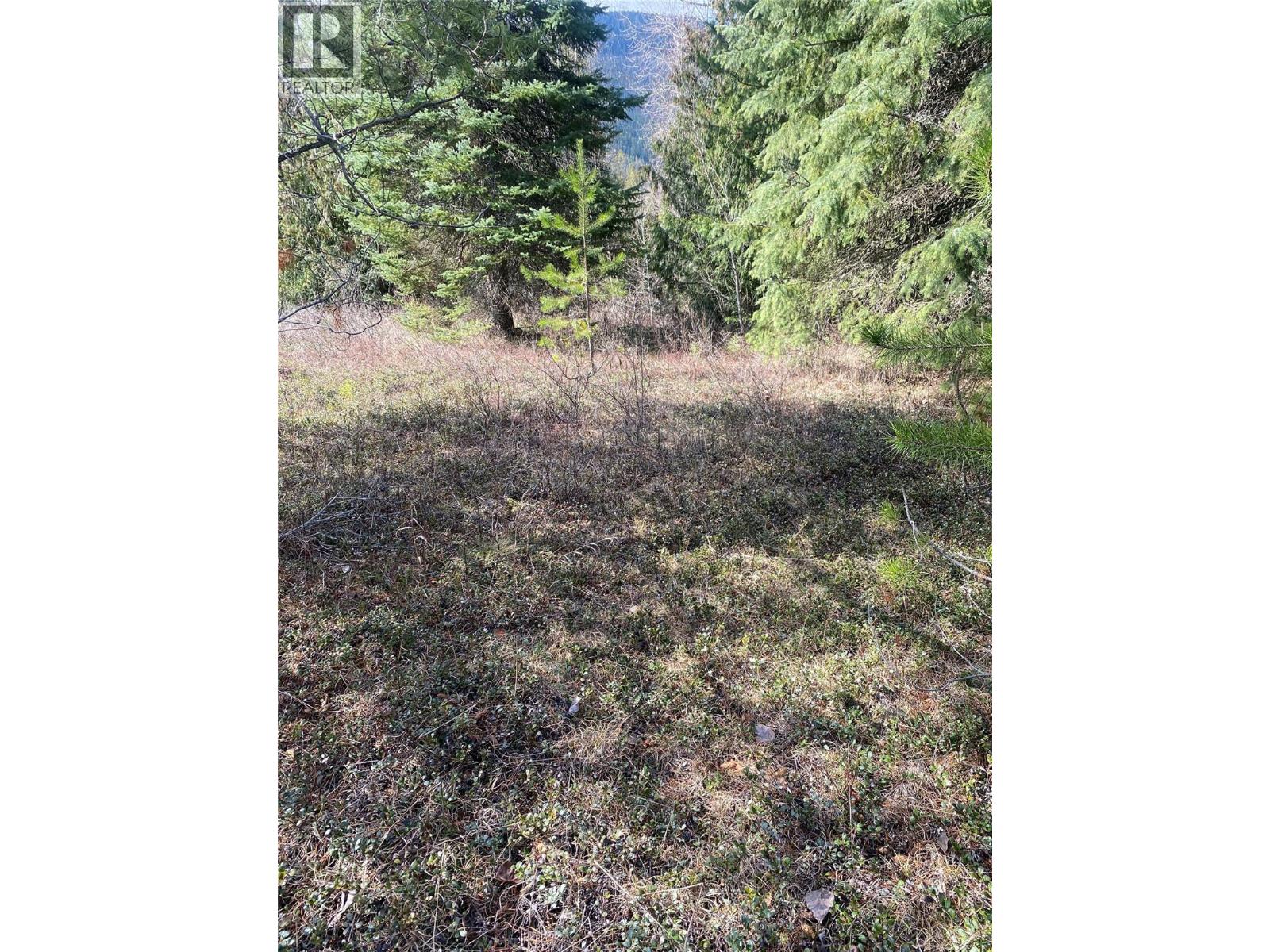Kittyhawk Road Lot# Lot B, Kitchener, British Columbia  V0B 1W1 - Photo 17 - 10383035