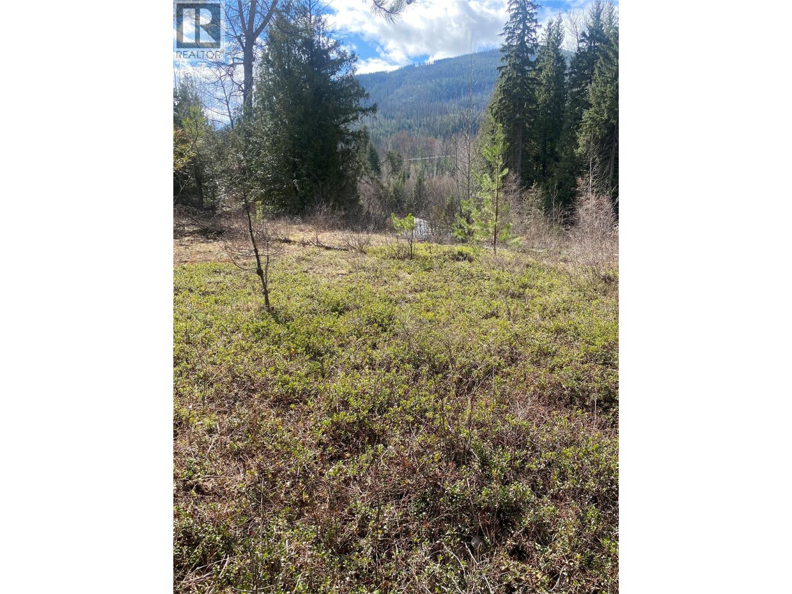 Kittyhawk Road Lot# Lot B, Kitchener, British Columbia  V0B 1W1 - Photo 18 - 10383035