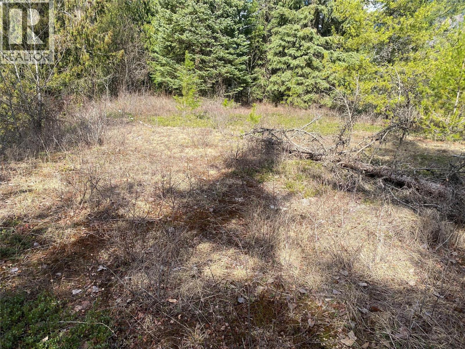 Kittyhawk Road Lot# Lot B, Kitchener, British Columbia  V0B 1W1 - Photo 19 - 10383035