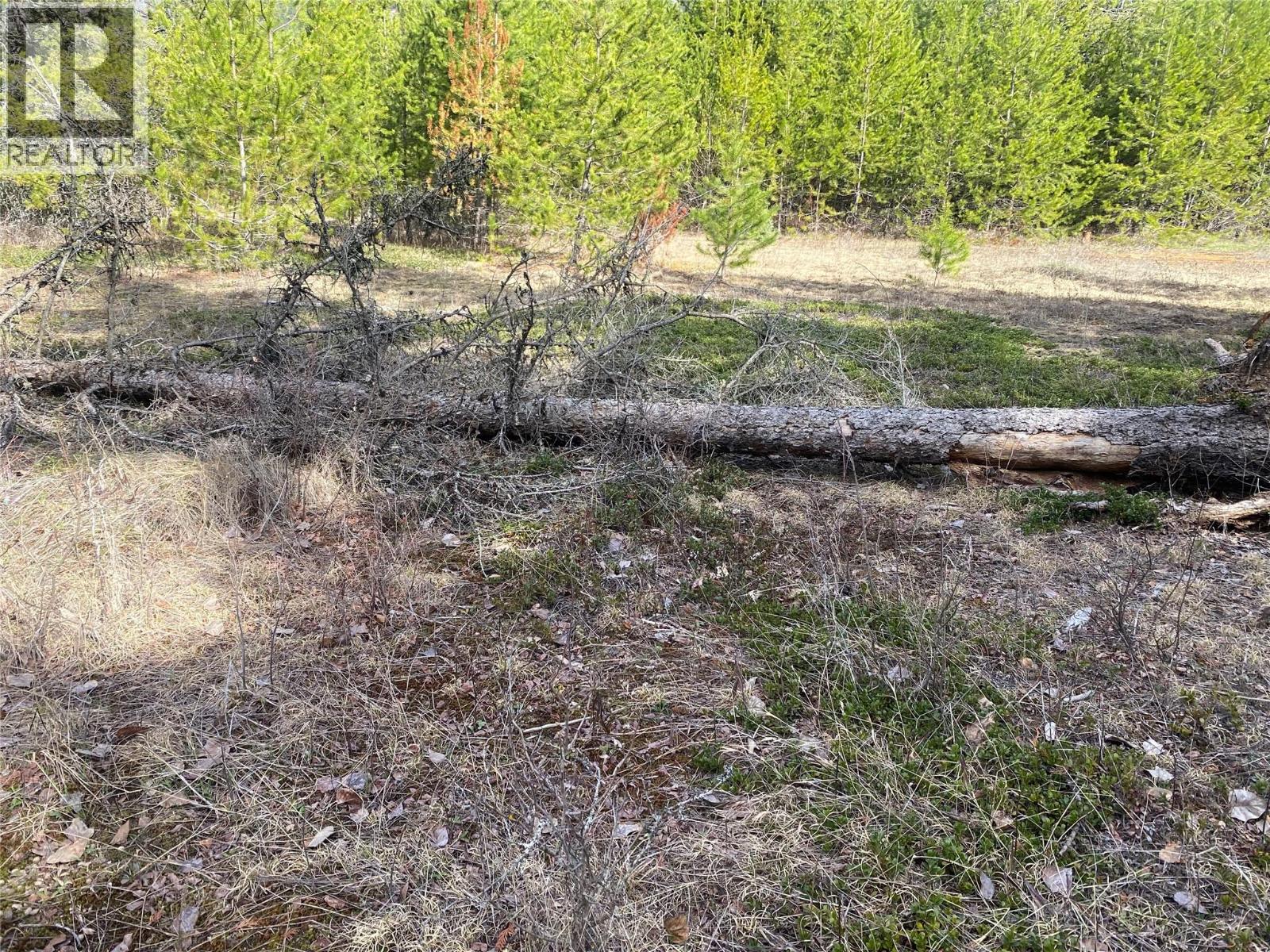 Kittyhawk Road Lot# Lot B, Kitchener, British Columbia  V0B 1W1 - Photo 20 - 10383035