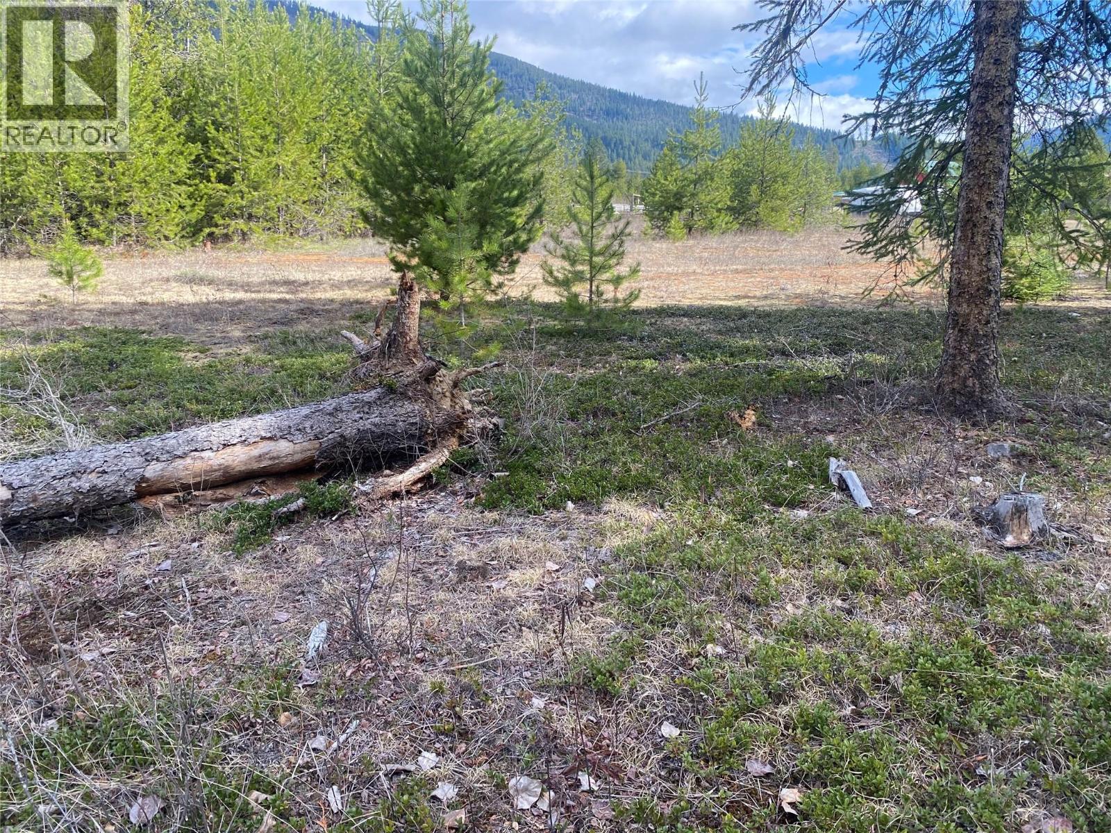 Kittyhawk Road Lot# Lot B, Kitchener, British Columbia  V0B 1W1 - Photo 21 - 10383035