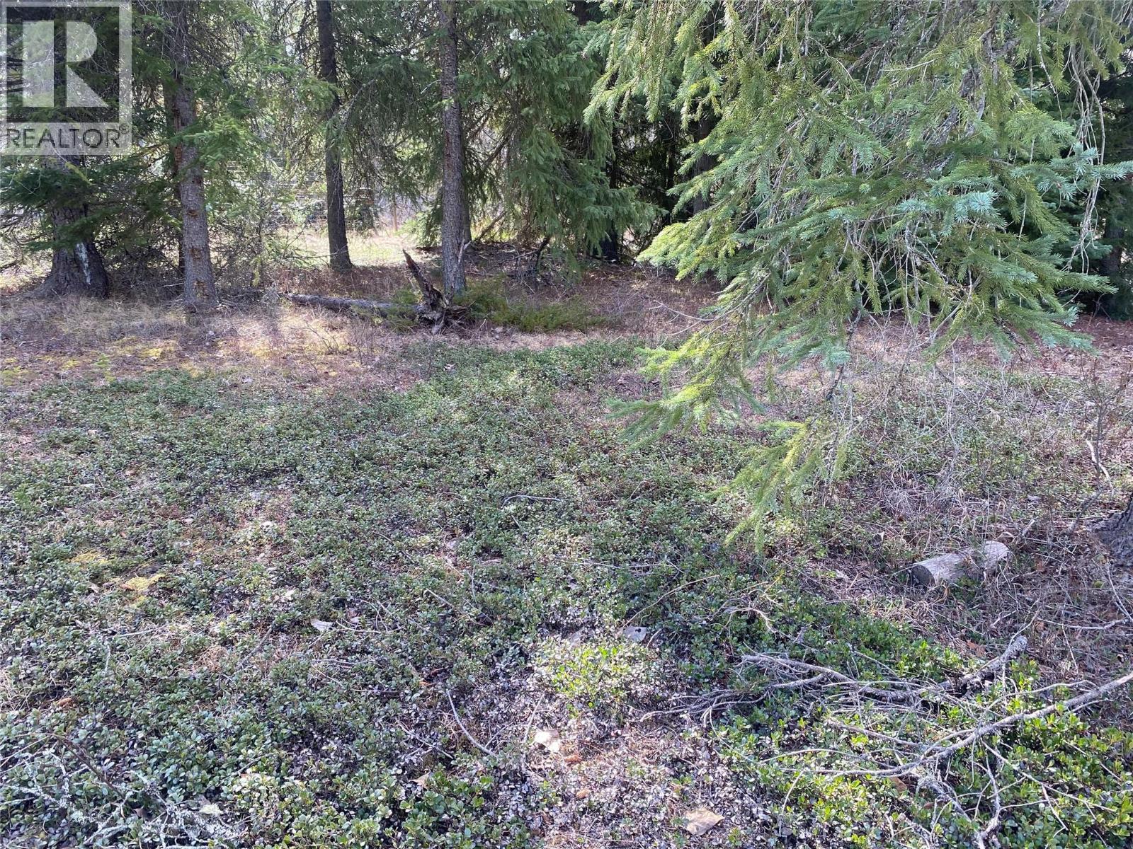 Kittyhawk Road Lot# Lot B, Kitchener, British Columbia  V0B 1W1 - Photo 22 - 10383035