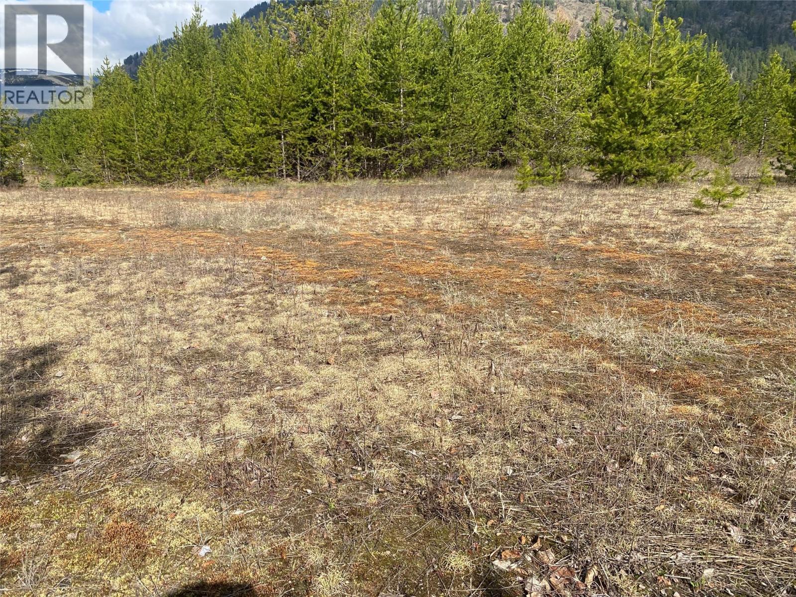 Kittyhawk Road Lot# Lot B, Kitchener, British Columbia  V0B 1W1 - Photo 24 - 10383035