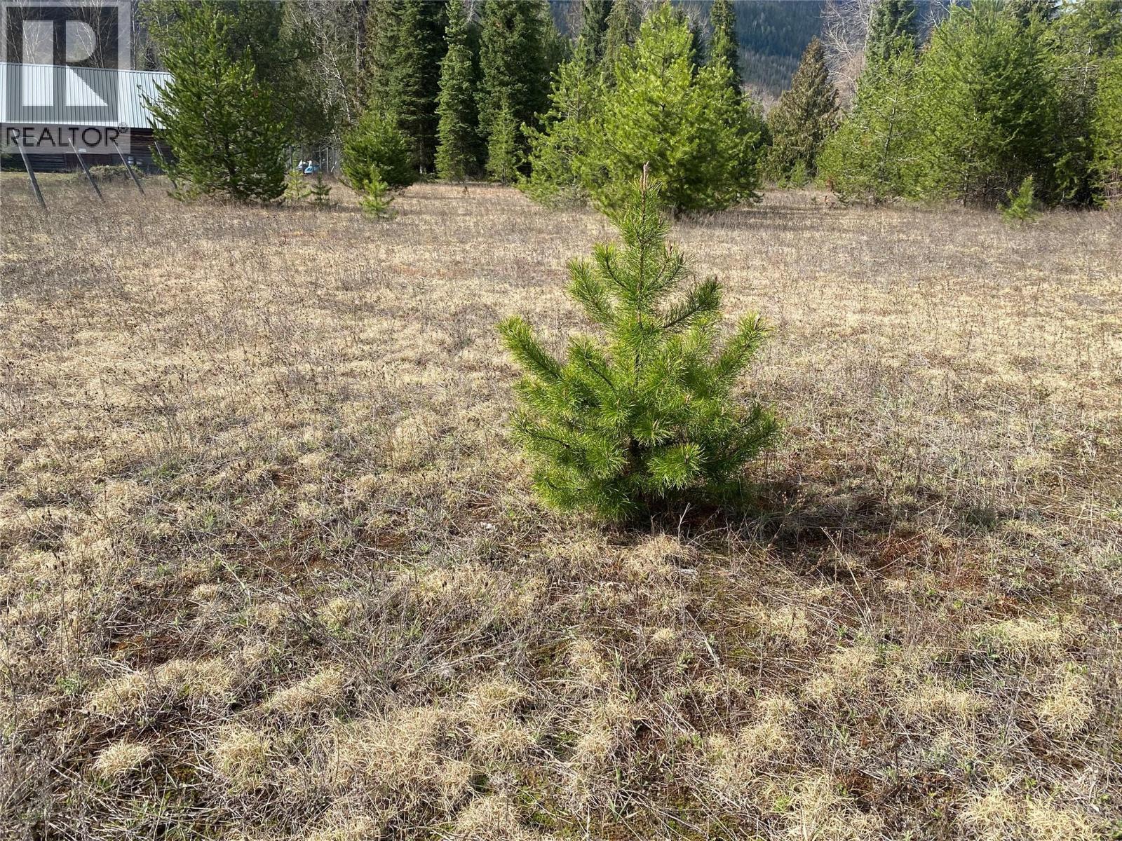 Kittyhawk Road Lot# Lot B, Kitchener, British Columbia  V0B 1W1 - Photo 26 - 10383035