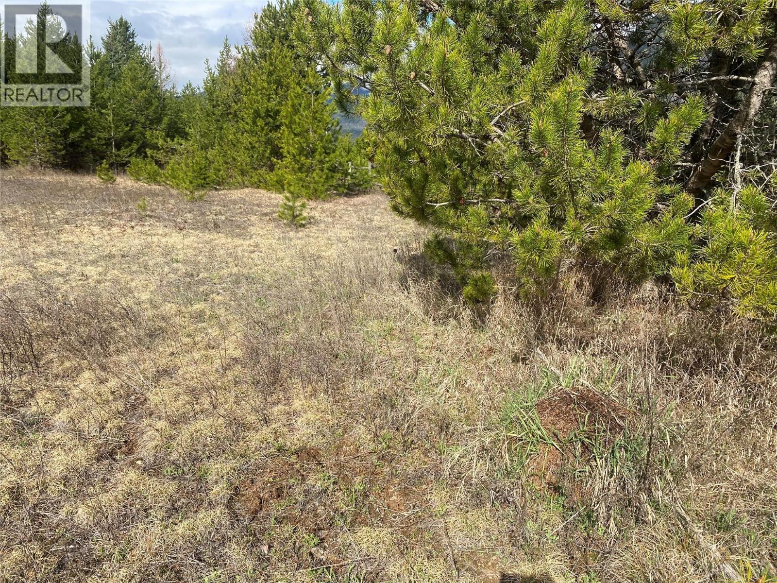 Kittyhawk Road Lot# Lot B, Kitchener, British Columbia  V0B 1W1 - Photo 29 - 10383035