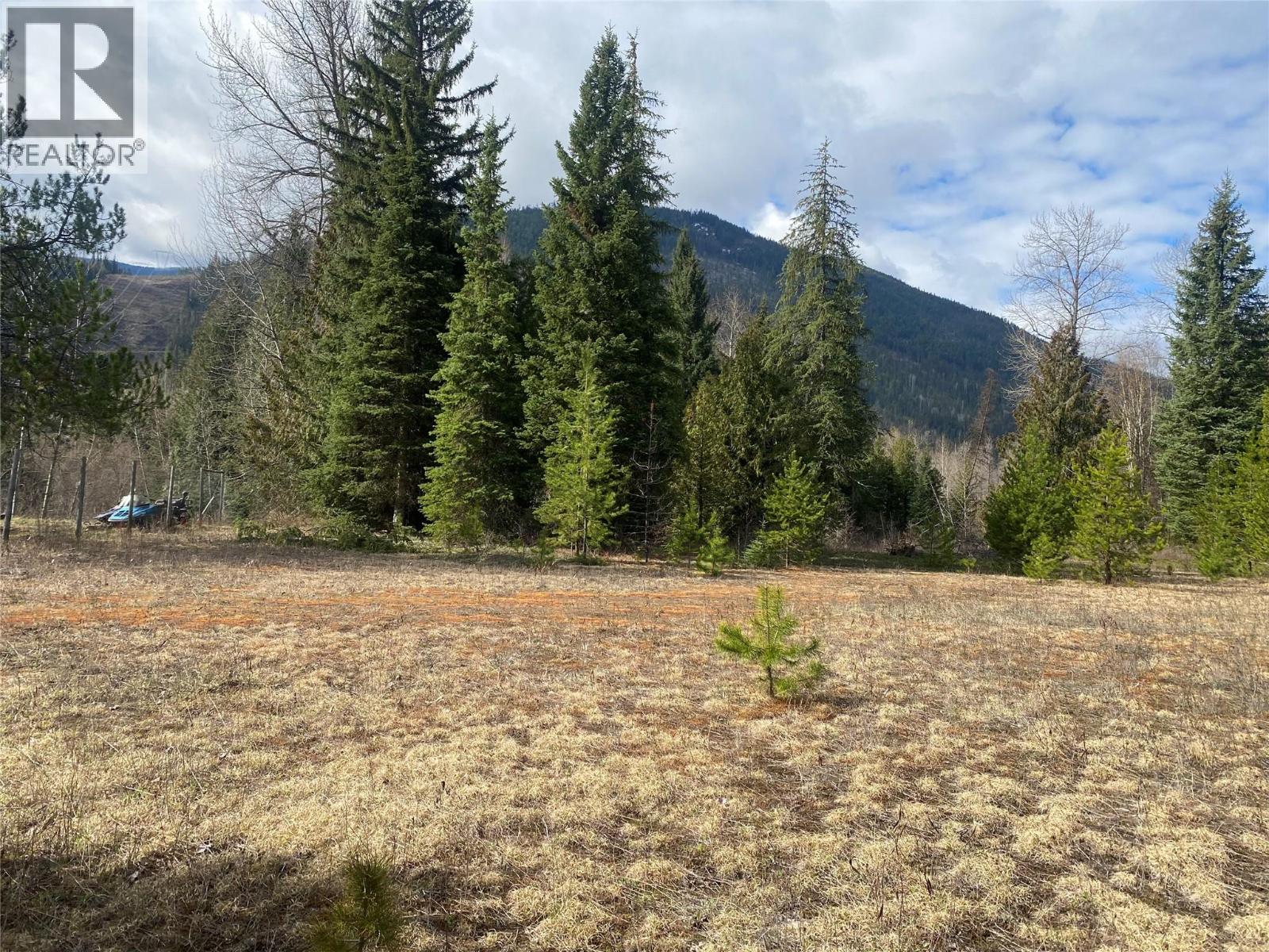 Kittyhawk Road Lot# Lot B, Kitchener, British Columbia  V0B 1W1 - Photo 6 - 10383035