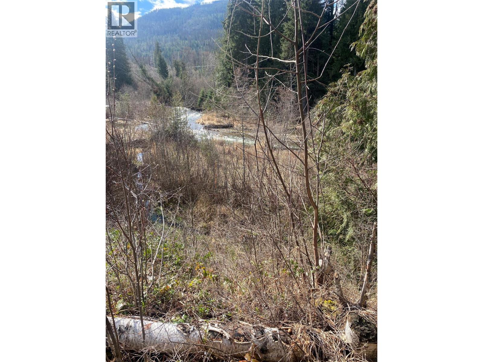 Kittyhawk Road Lot# Lot B, Kitchener, British Columbia  V0B 1W1 - Photo 7 - 10383035