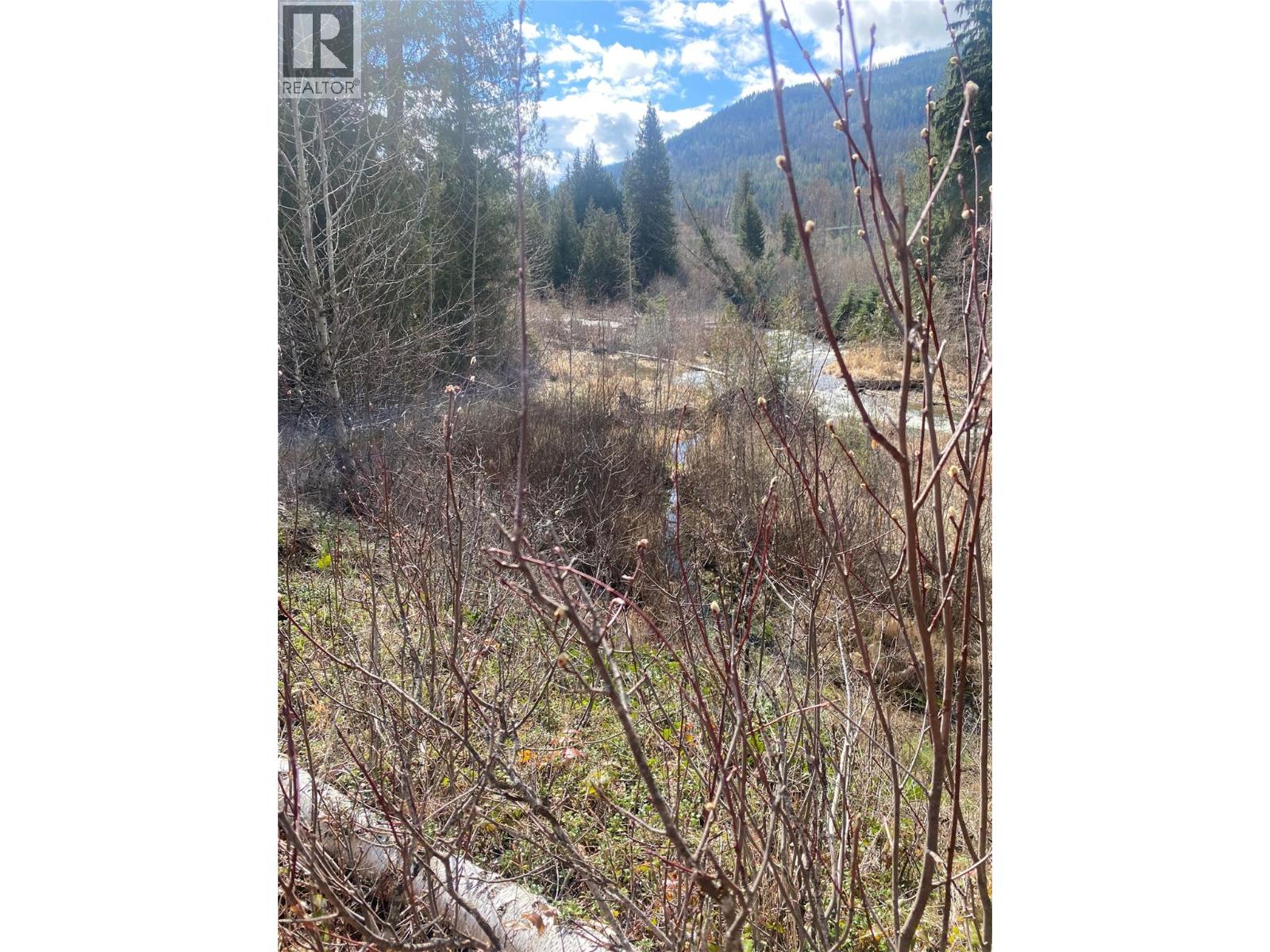 Kittyhawk Road Lot# Lot B, Kitchener, British Columbia  V0B 1W1 - Photo 8 - 10383035