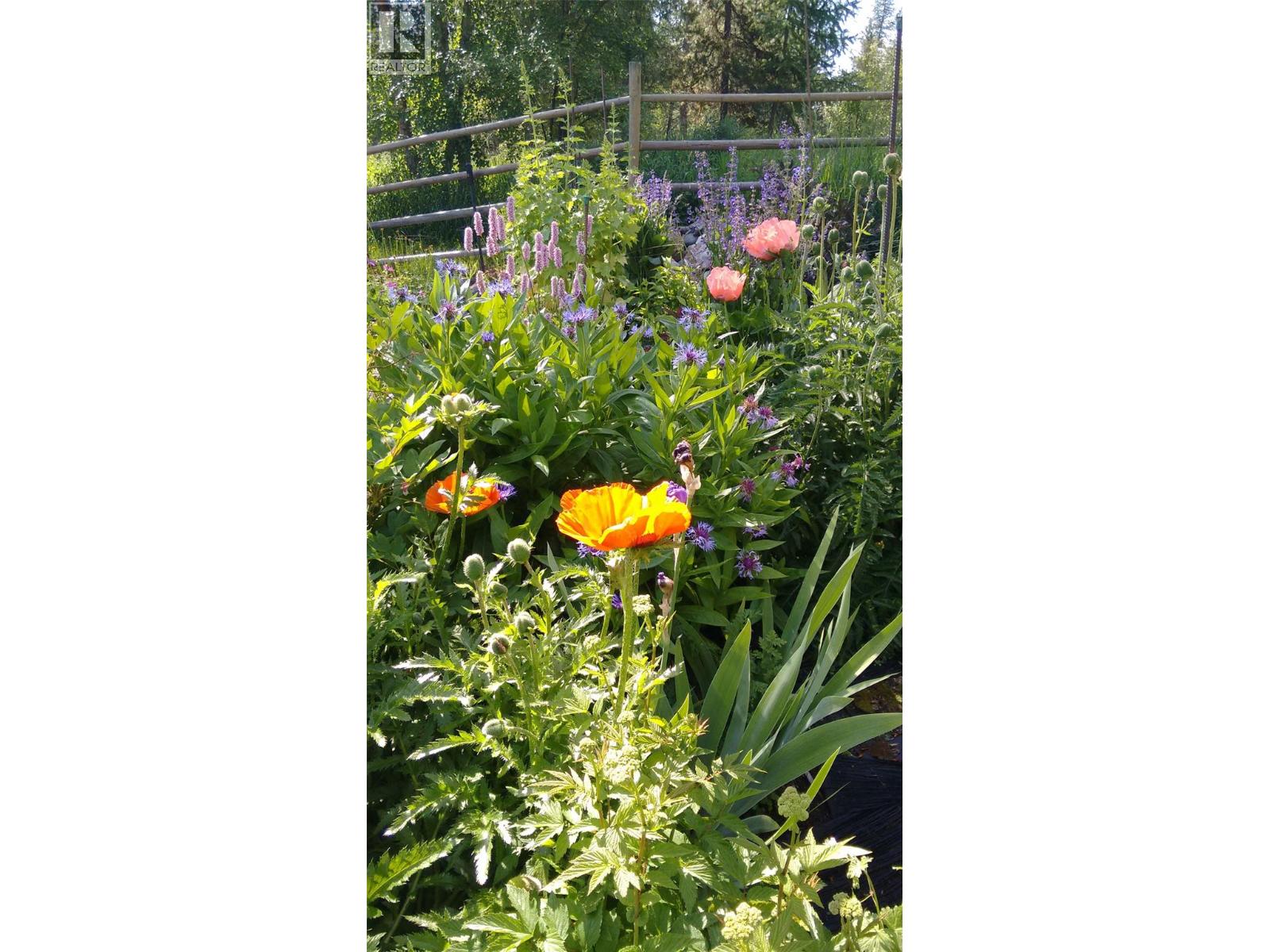 2873 Simpson Road, Cranbrook, British Columbia  V1C 6T2 - Photo 58 - 10383313