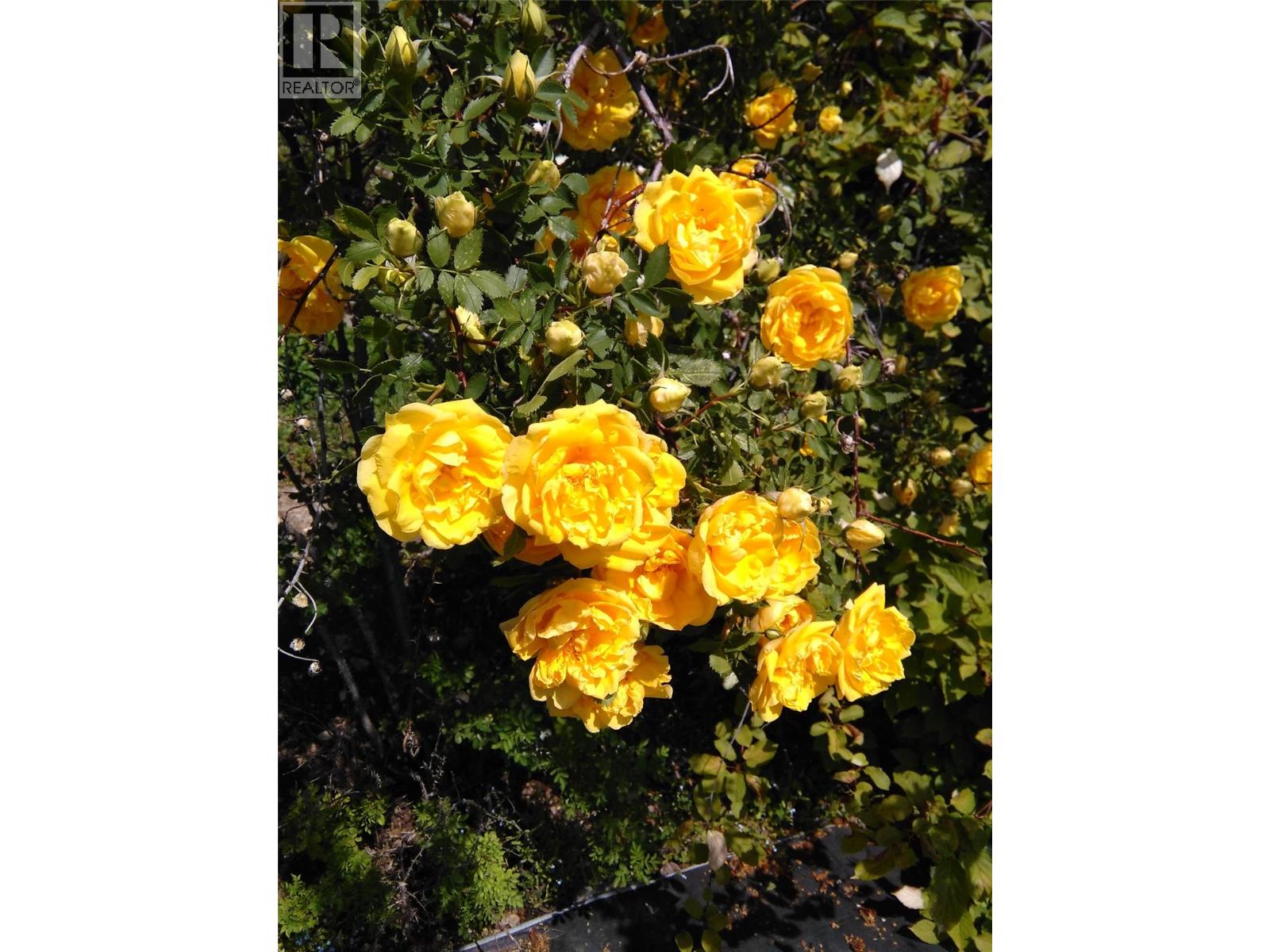 2873 Simpson Road, Cranbrook, British Columbia  V1C 6T2 - Photo 63 - 10383313