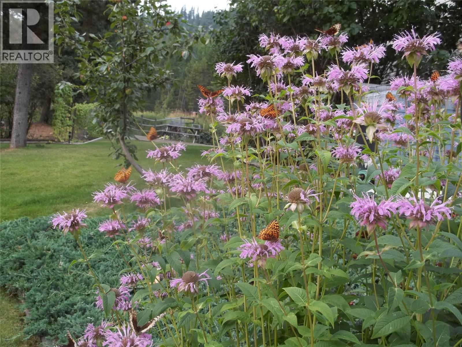 2873 Simpson Road, Cranbrook, British Columbia  V1C 6T2 - Photo 64 - 10383313