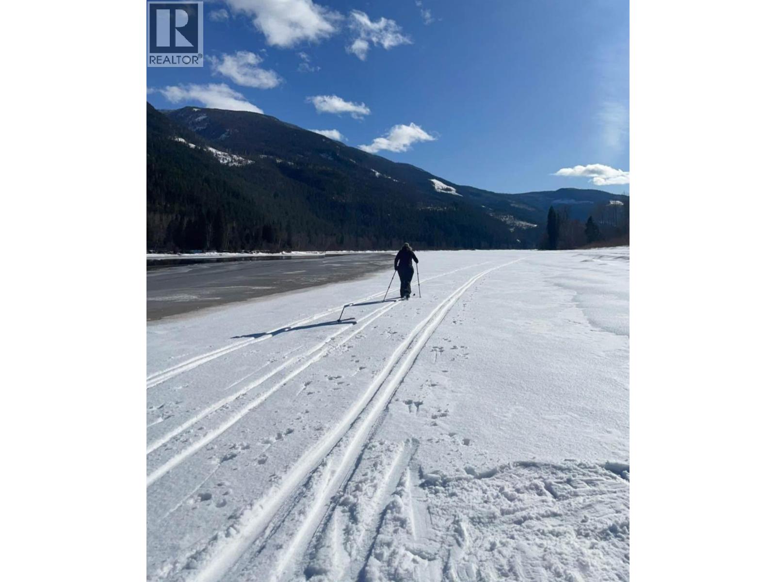 3782 River Drive, Blue River, British Columbia  V0E 1C0 - Photo 25 - 10383396