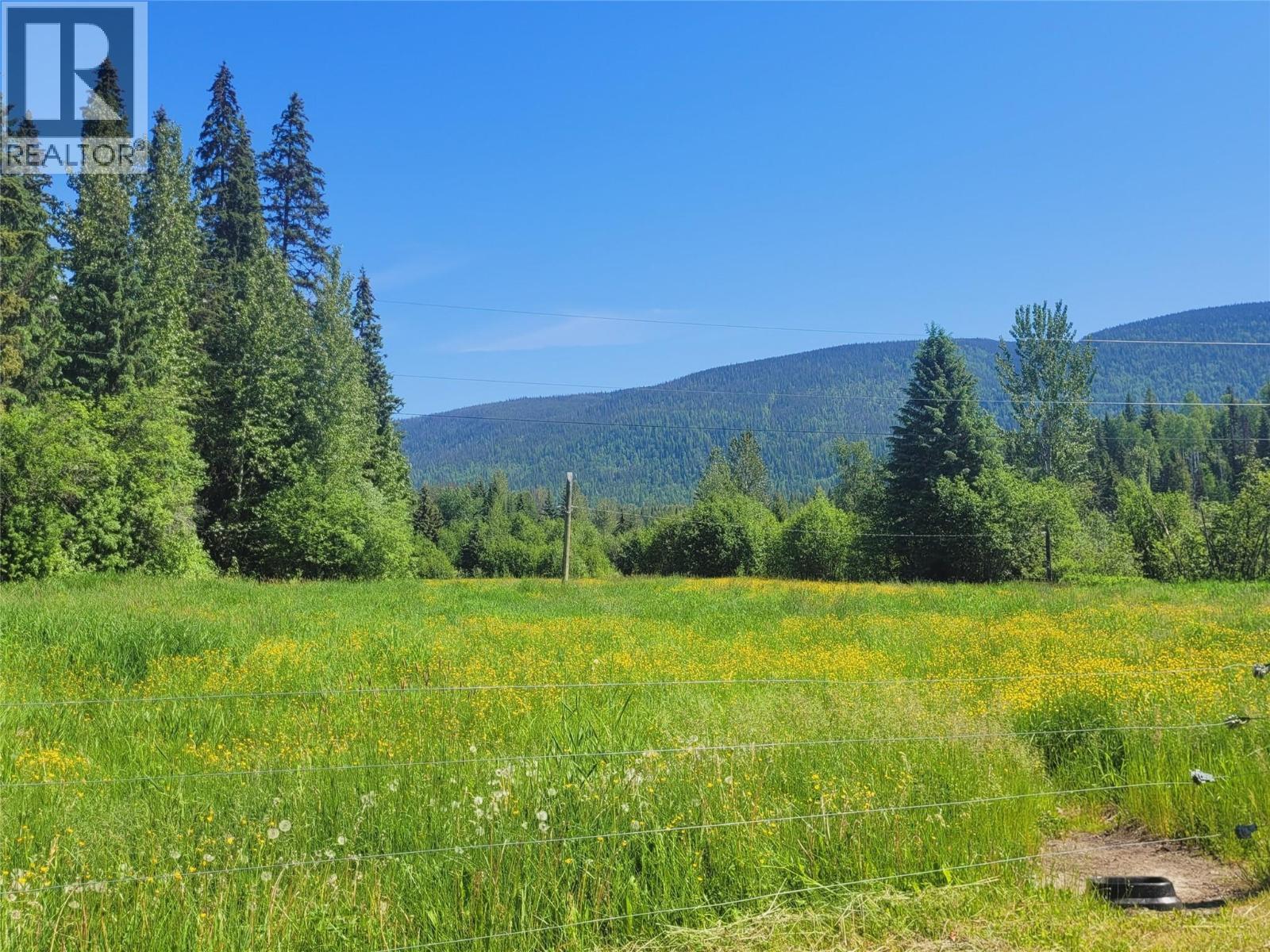 6177 Trout Creek Road, Clearwater, British Columbia  V0E 1N1 - Photo 34 - 10383549