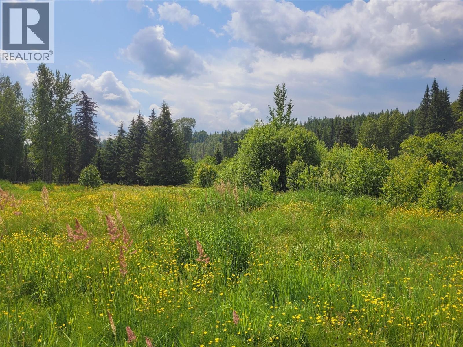6177 Trout Creek Road, Clearwater, British Columbia  V0E 1N1 - Photo 35 - 10383549