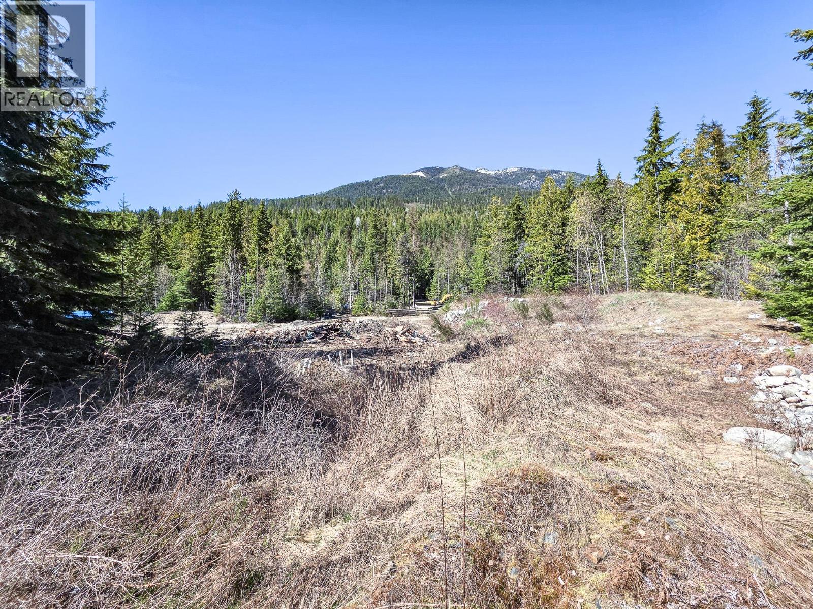 Lot D Veale Road, Balfour, British Columbia  V0G 1C0 - Photo 14 - 10383299