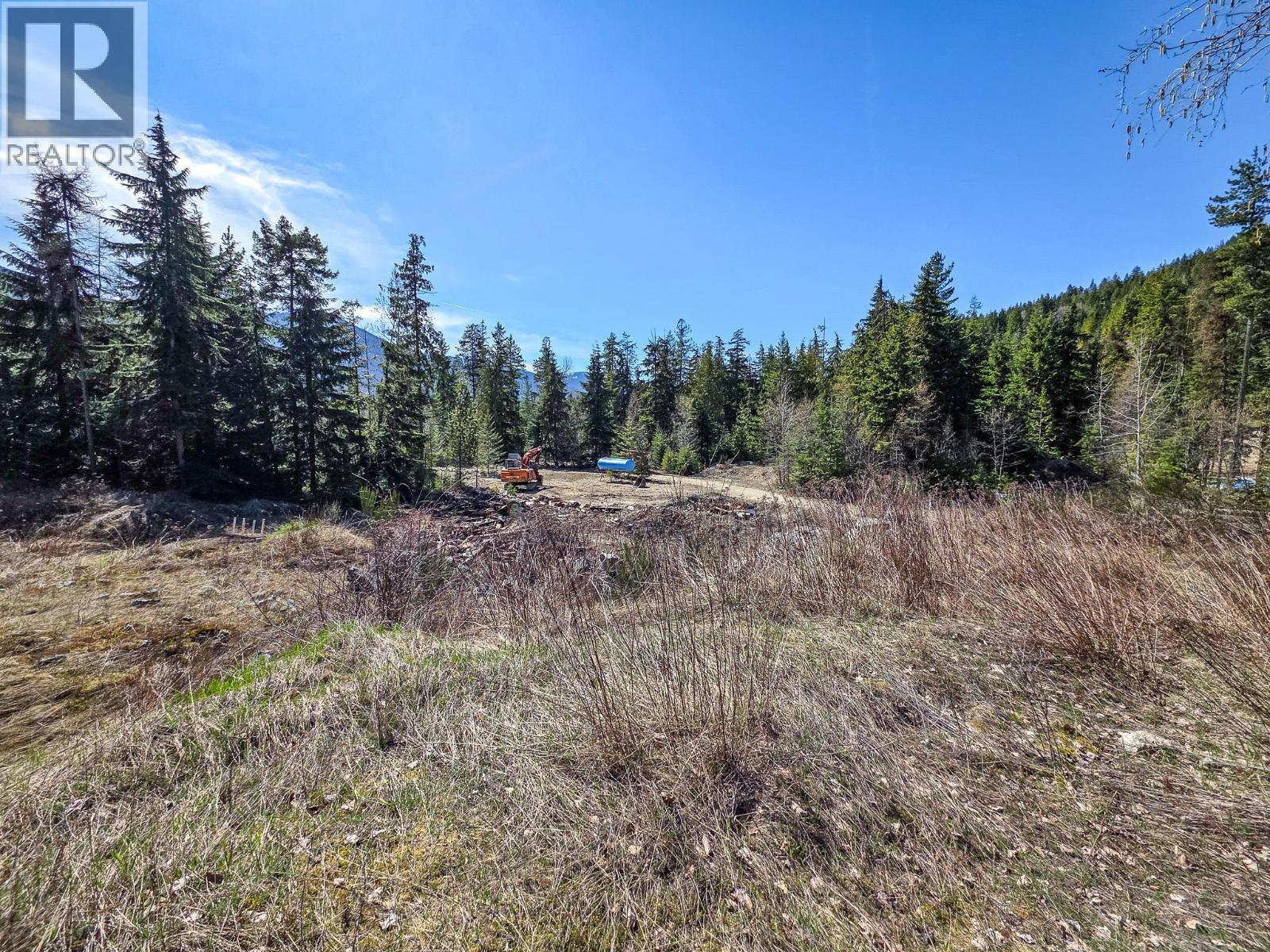 Lot D Veale Road, Balfour, British Columbia  V0G 1C0 - Photo 15 - 10383299
