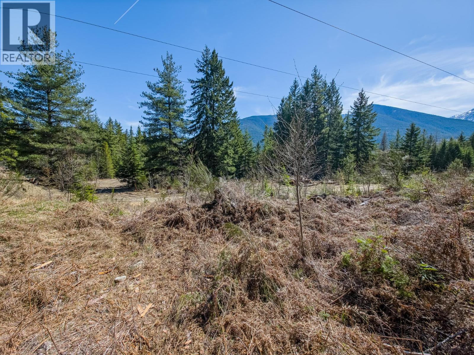 Lot D Veale Road, Balfour, British Columbia  V0G 1C0 - Photo 18 - 10383299