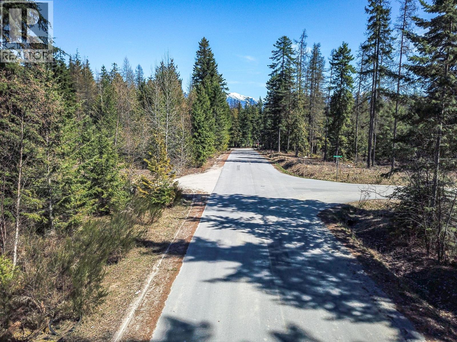 Lot D Veale Road, Balfour, British Columbia  V0G 1C0 - Photo 6 - 10383299