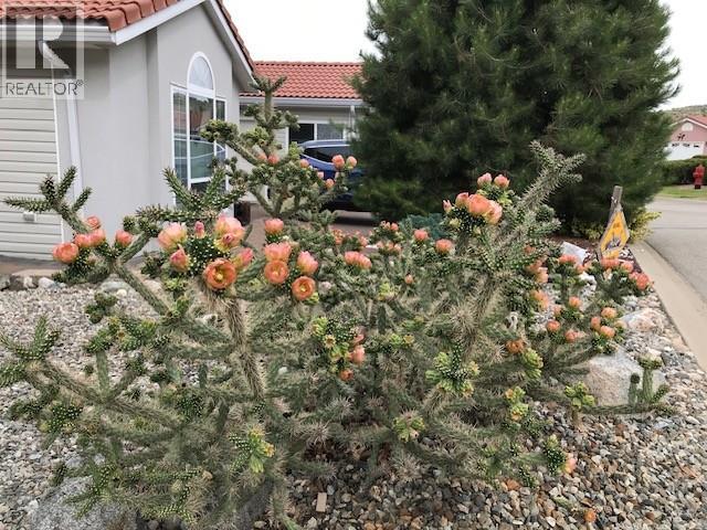 9400 115 Street Unit# 48, Osoyoos, British Columbia  V0H 1V5 - Photo 46 - 10383499