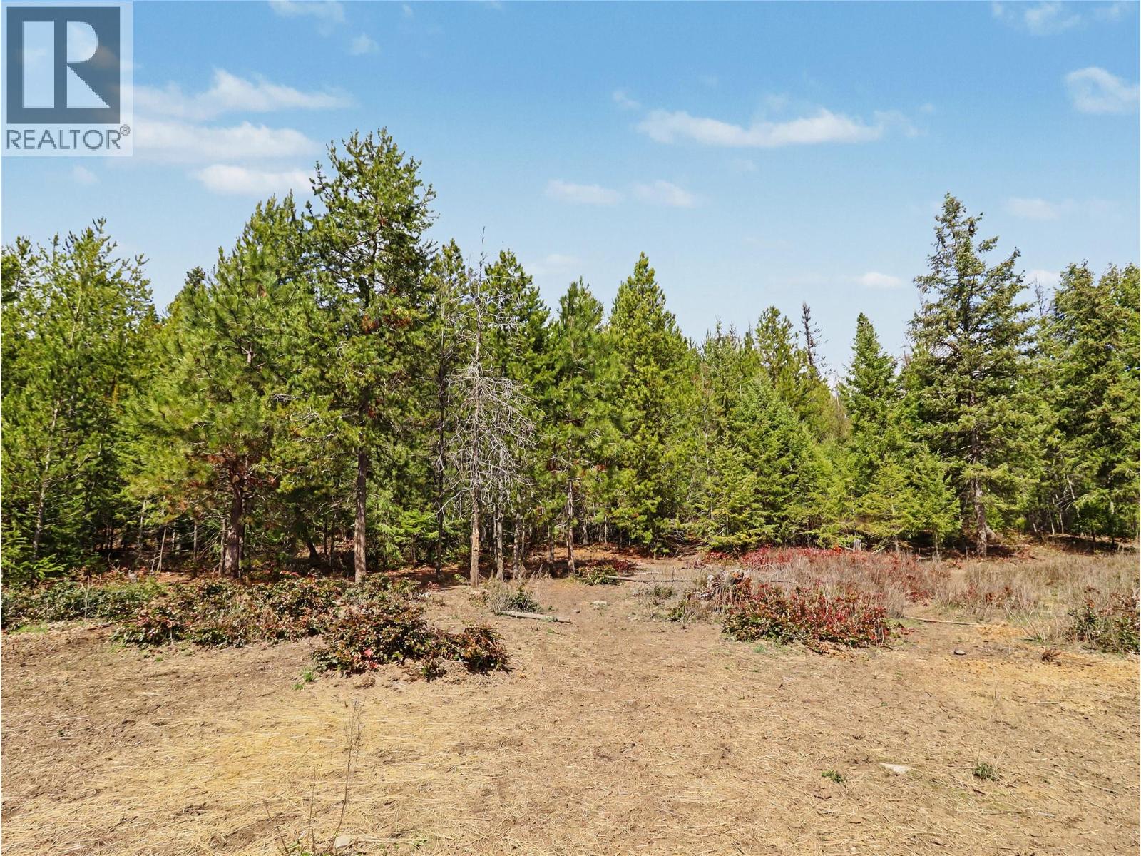 12050 3 Highway, Greenwood, British Columbia  V0H 1J0 - Photo 46 - 10383630