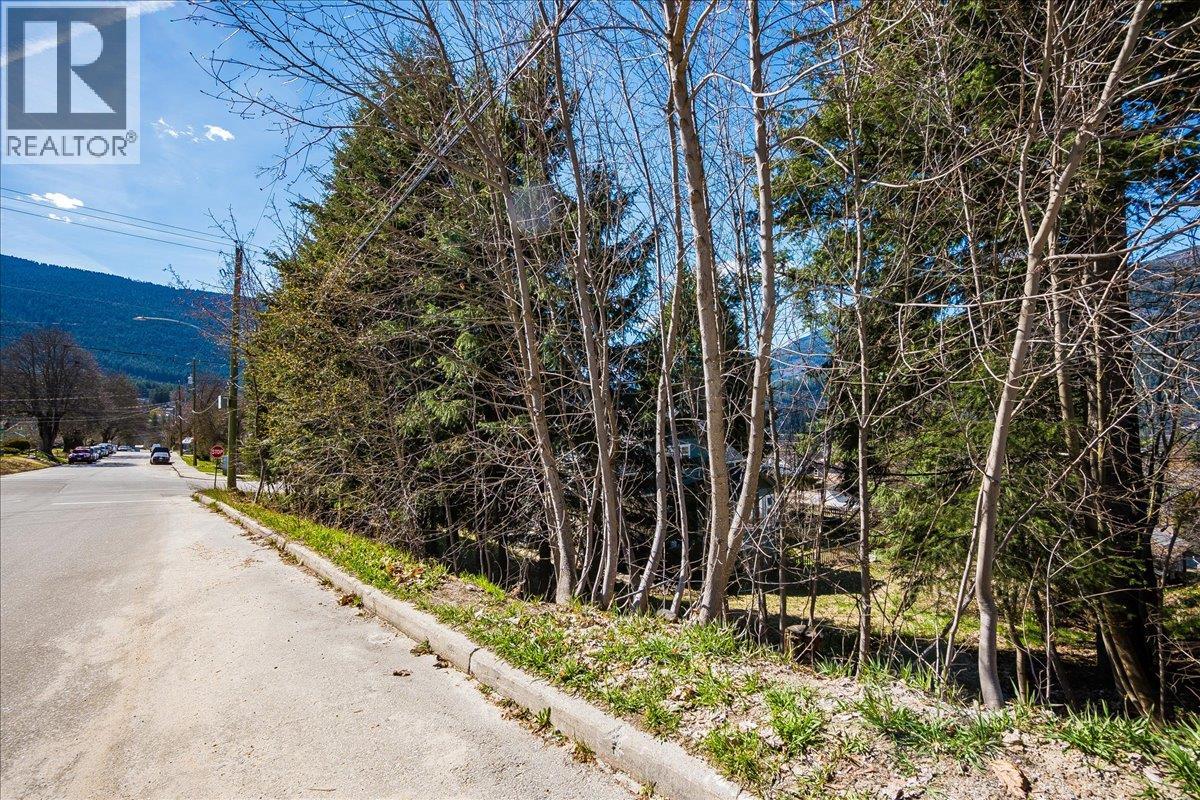 605 & 607 Gore Street, Nelson, British Columbia  V1L 1Y2 - Photo 11 - 10383325