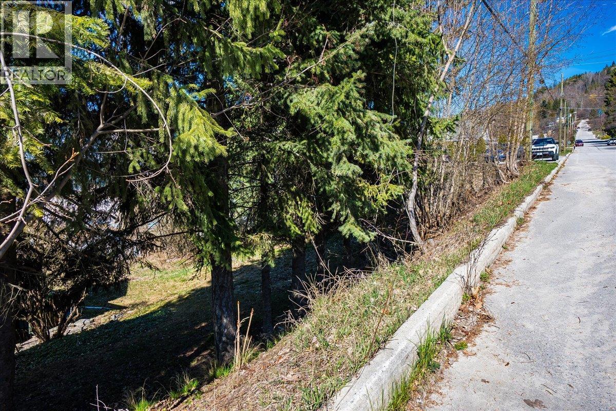 605 & 607 Gore Street, Nelson, British Columbia  V1L 1Y2 - Photo 12 - 10383325