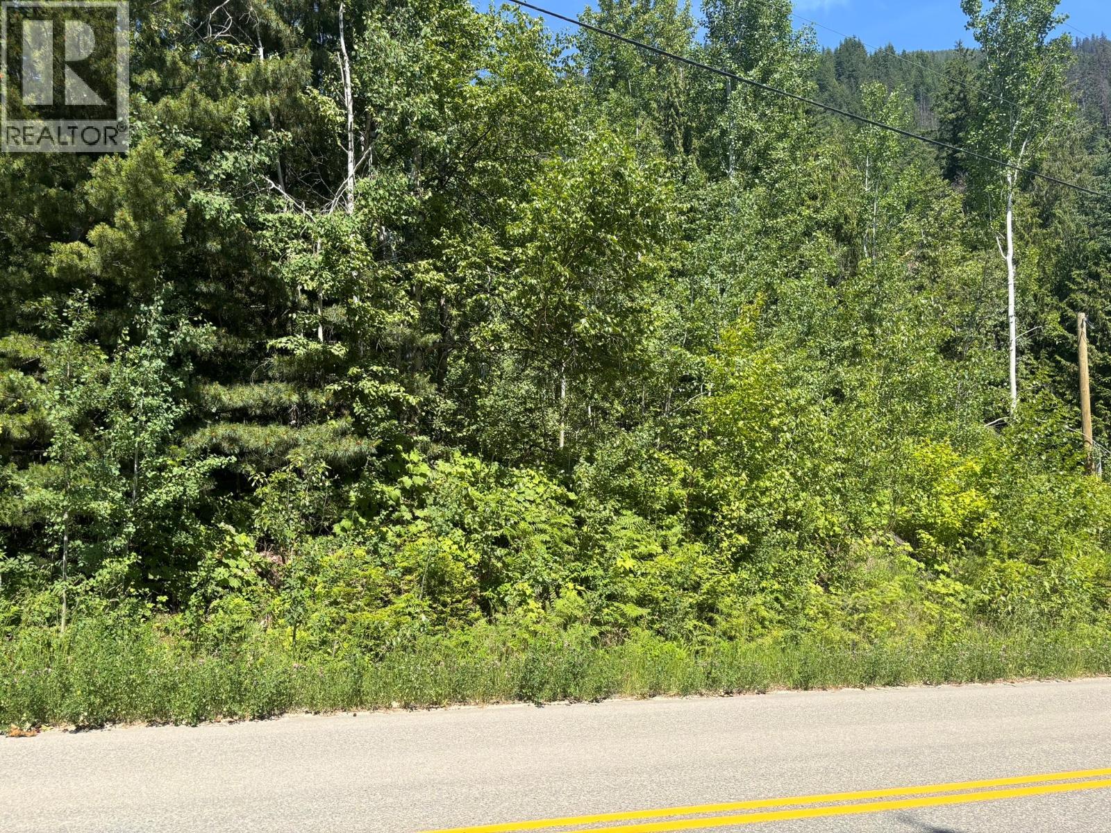 Lot 68 Squilax-Anglemont Road, St. Ives, British Columbia  V0E 1M9 - Photo 2 - 10383636