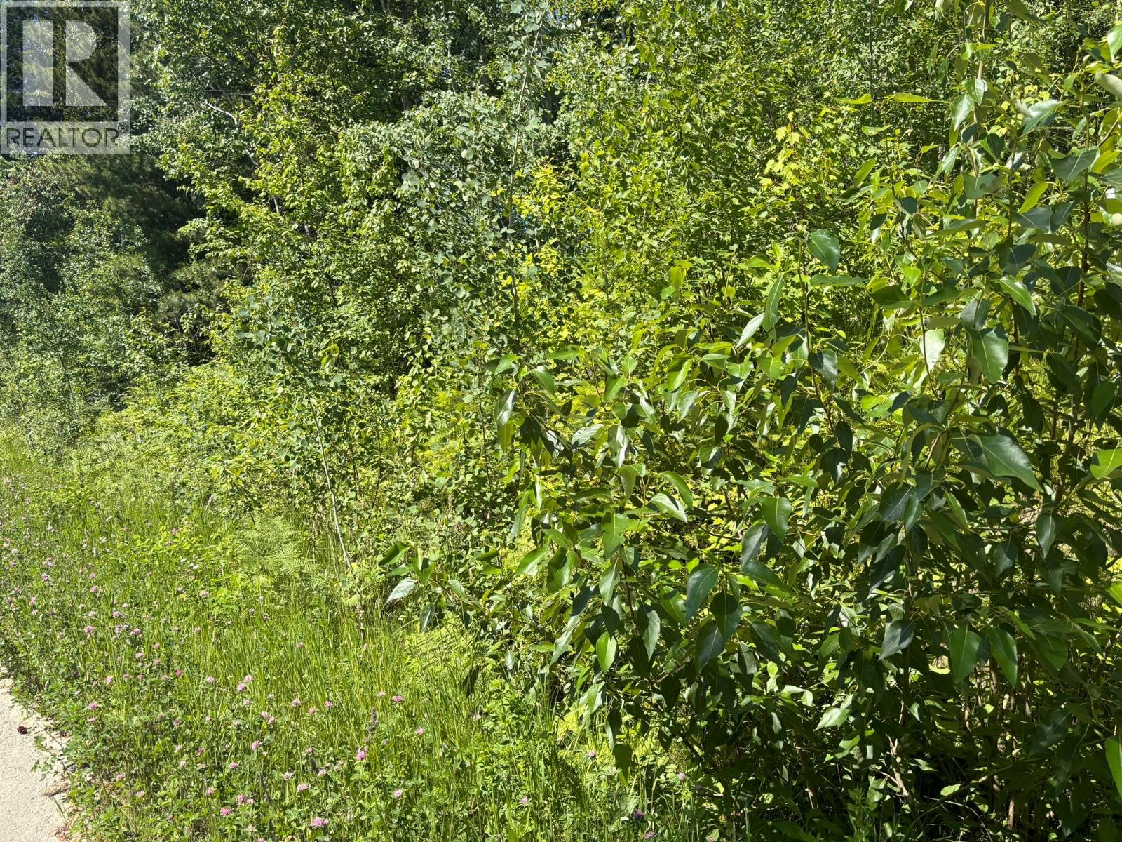 Lot 68 Squilax-Anglemont Road, St. Ives, British Columbia  V0E 1M9 - Photo 3 - 10383636