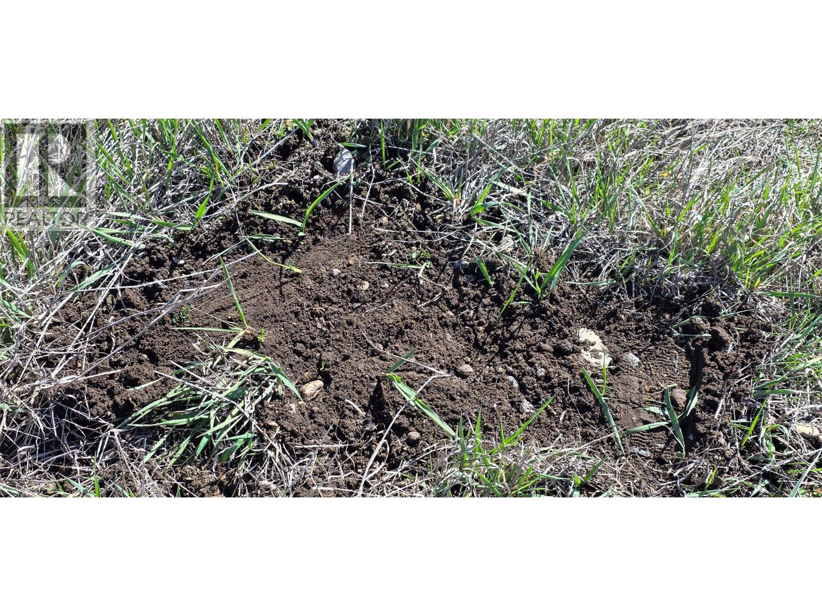 3605 Hwy 3, Rock Creek, British Columbia  V0H 1Y0 - Photo 15 - 10383649