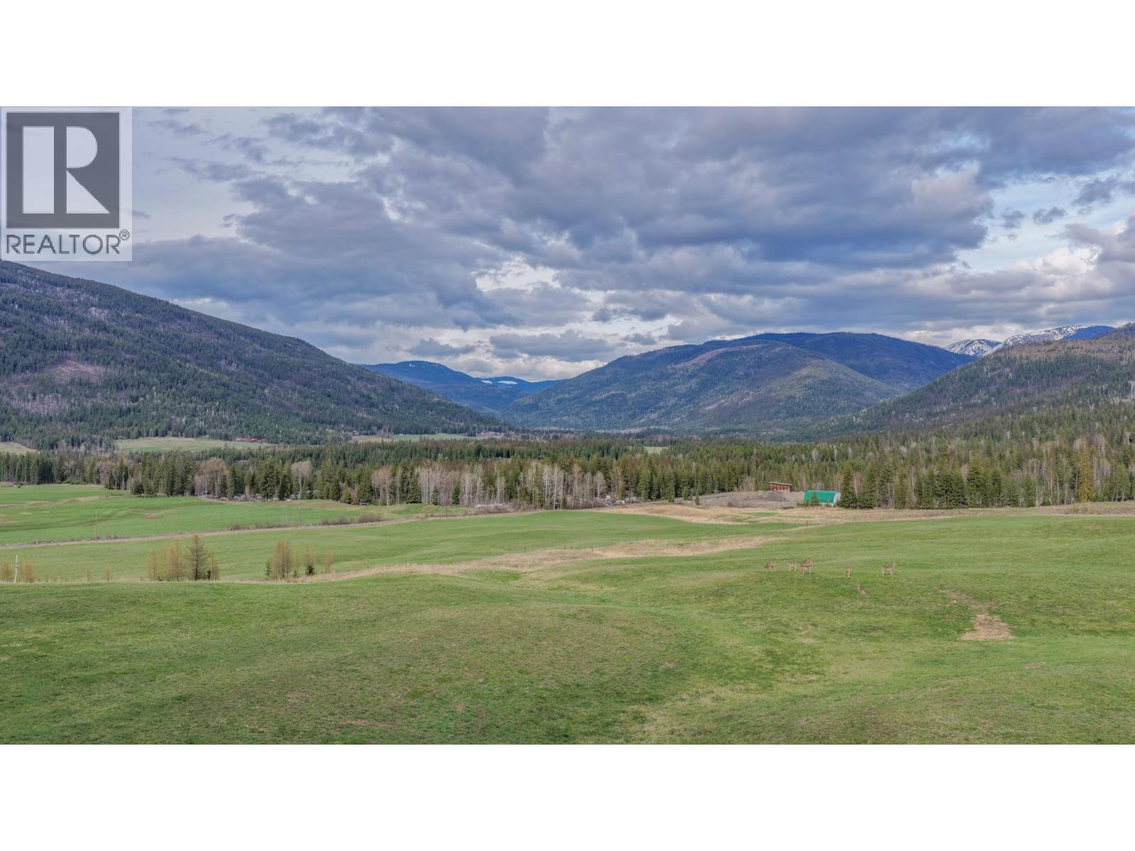 110 Campbell Road, Cherryville, British Columbia  V0E 2G3 - Photo 12 - 10383054