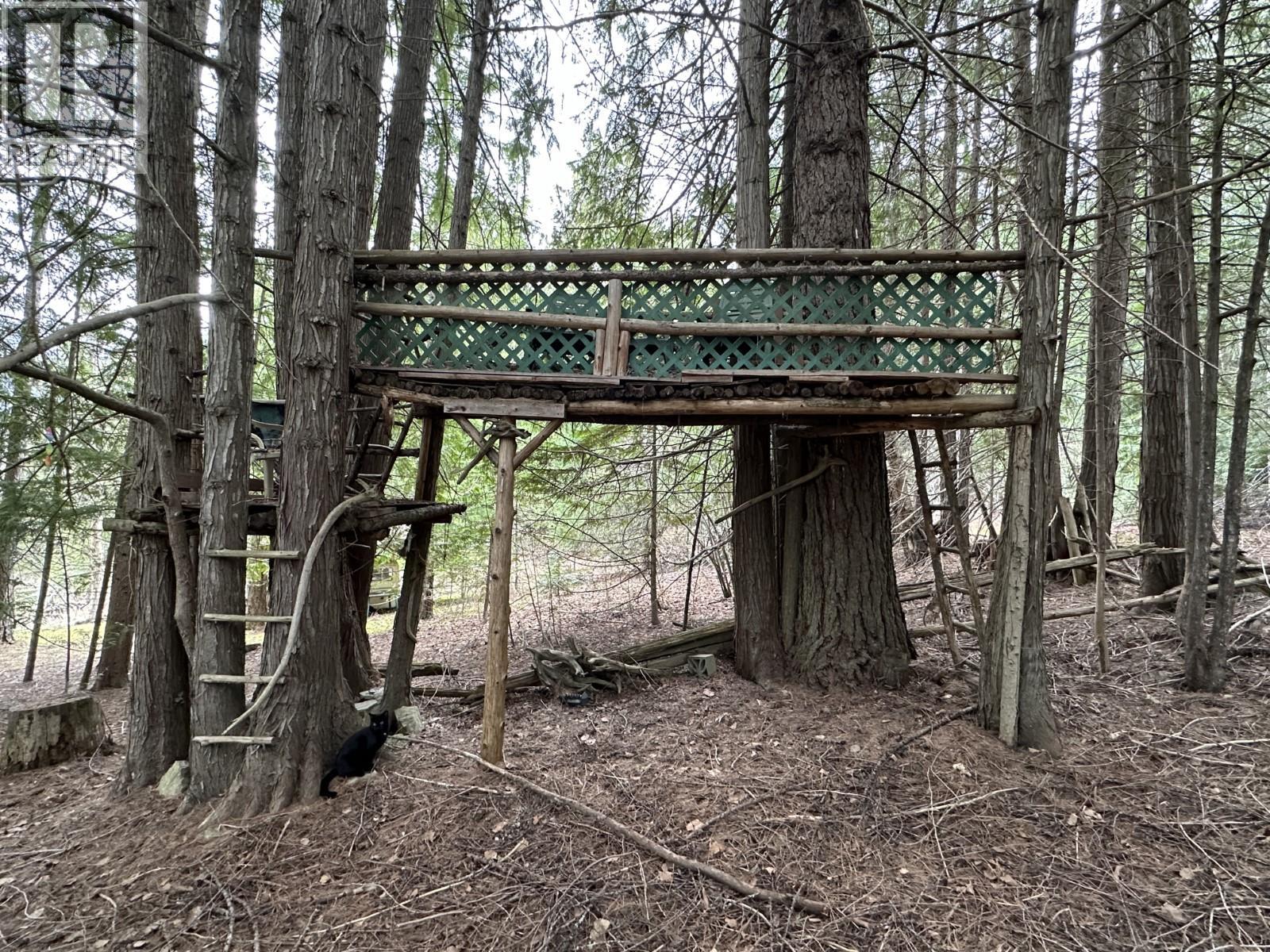 4460 6 Highway, Arrow Park, British Columbia  V0G 1R1 - Photo 28 - 10383655