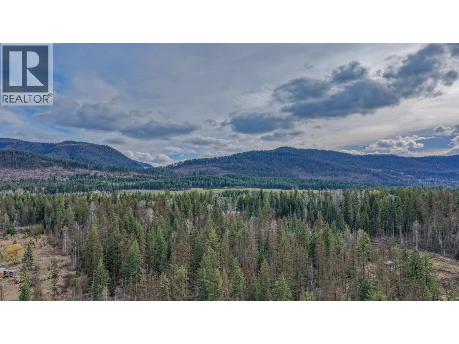 100 Campbell Road, Cherryville, British Columbia  V0E 2G3 - Photo 10 - 10383052