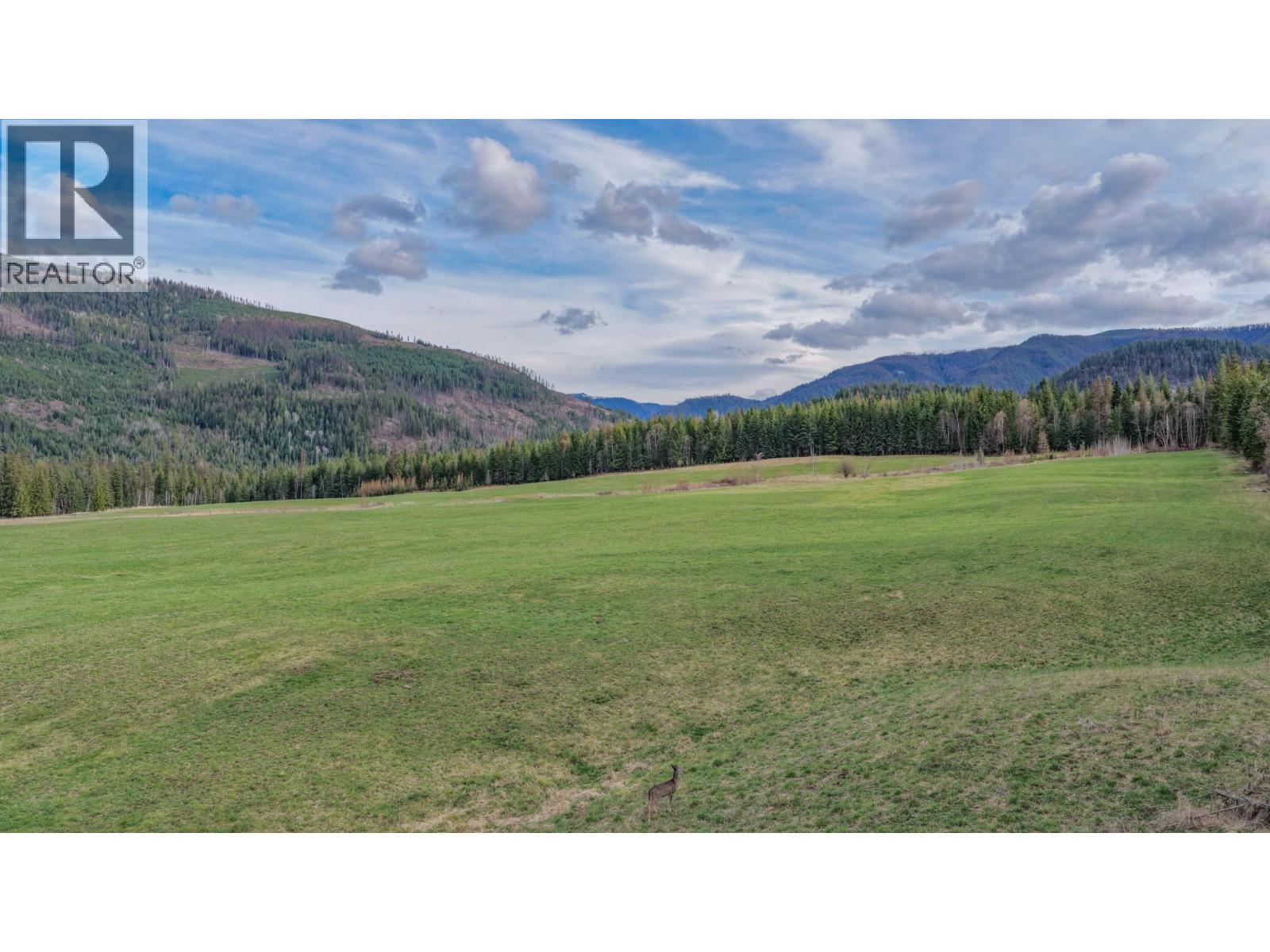 100 Campbell Road, Cherryville, British Columbia  V0E 2G3 - Photo 5 - 10383052