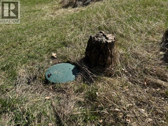 3176 Glengrove Place, Barriere, British Columbia  V0E 2E0 - Photo 4 - 10383718