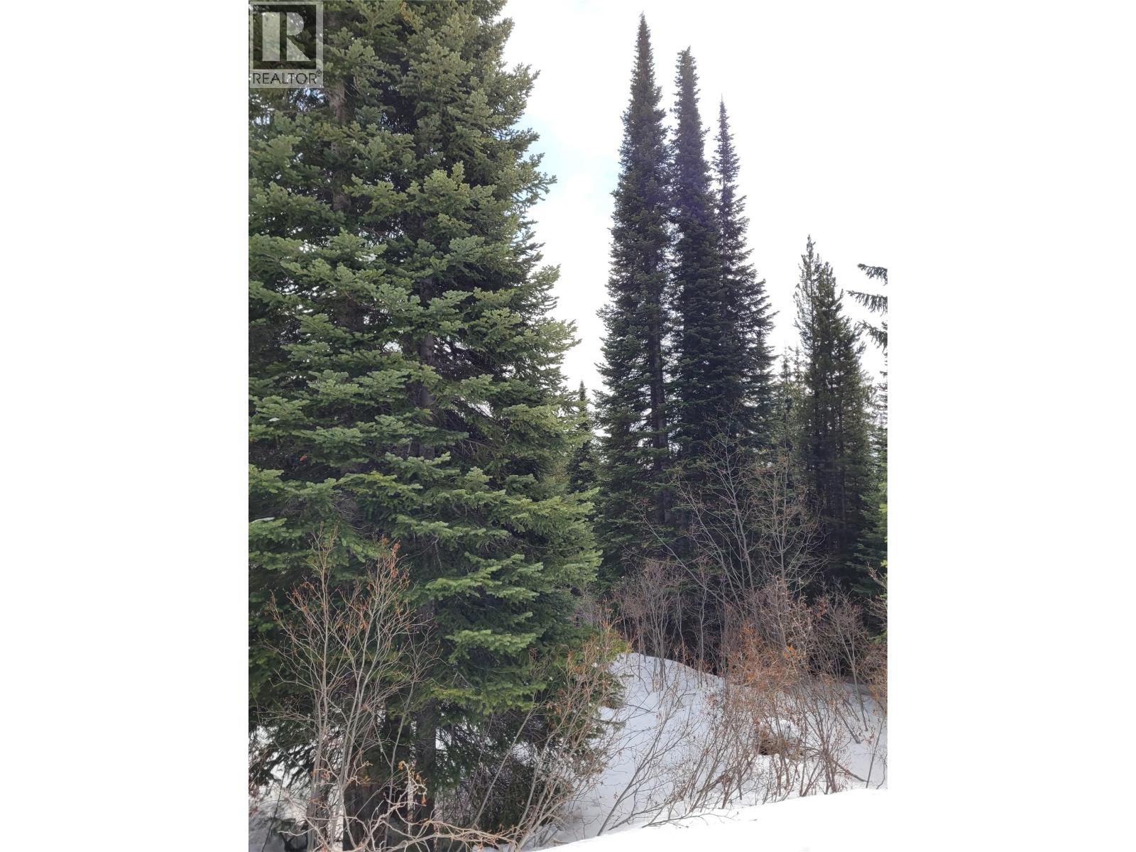 248 Wapiti Creek Road, Mount Baldy, British Columbia  V0H 1T0 - Photo 4 - 10381746