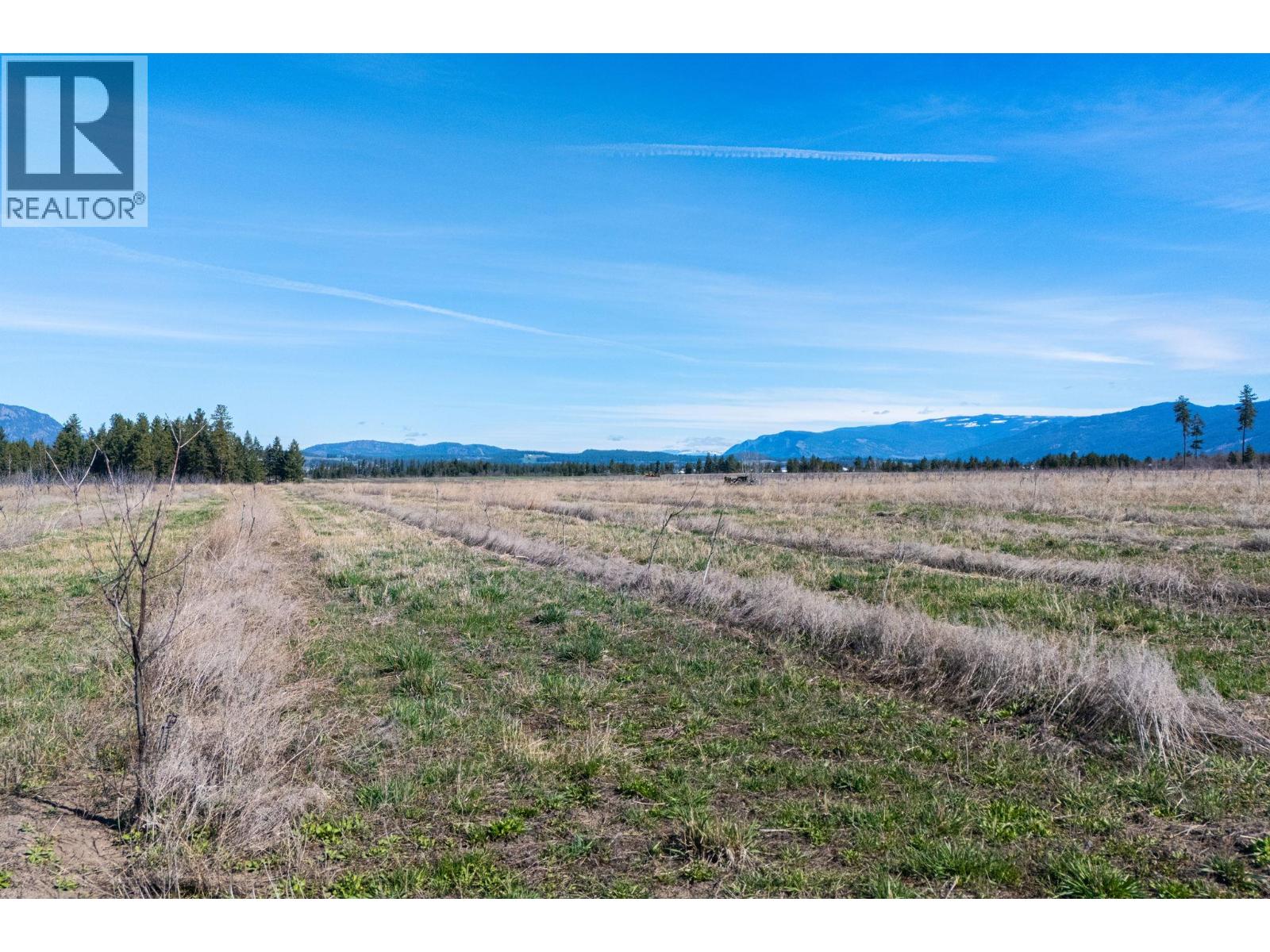 1448 Otter Lake Cross Road, Spallumcheen, British Columbia  V0E 1B5 - Photo 15 - 10383629