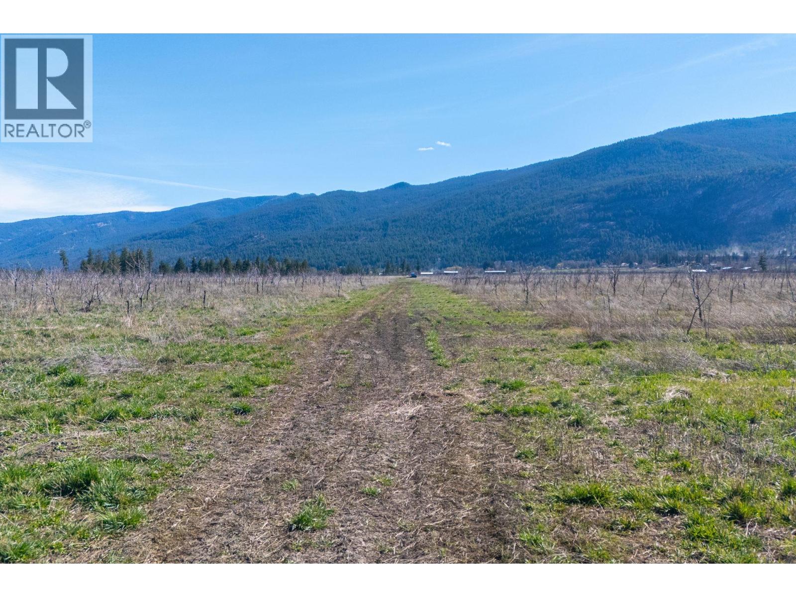 1448 Otter Lake Cross Road, Spallumcheen, British Columbia  V0E 1B5 - Photo 6 - 10383629