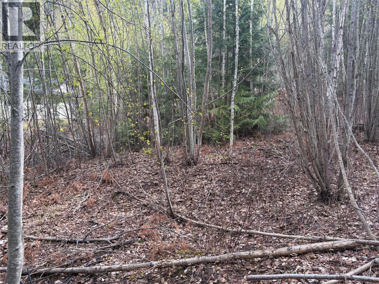 Lot 6 Mcbride Road, Blind Bay, British Columbia  V0E 1H1 - Photo 10 - 10383733