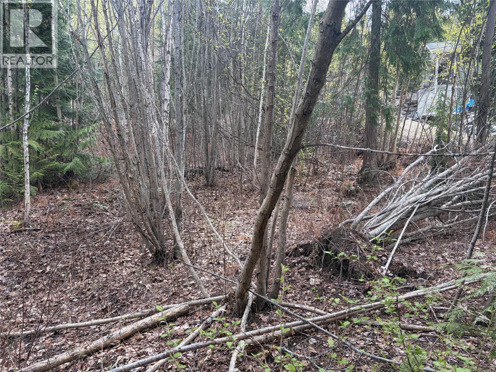 Lot 6 Mcbride Road, Blind Bay, British Columbia  V0E 1H1 - Photo 11 - 10383733