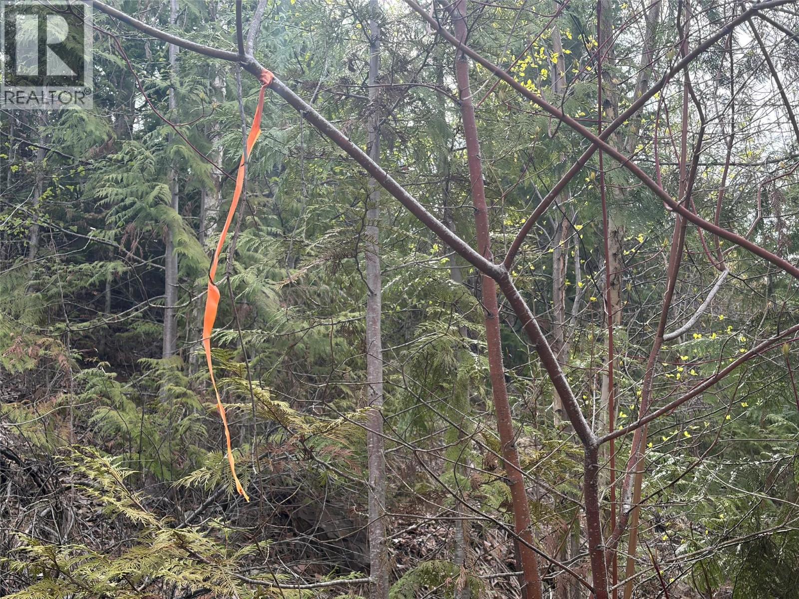 Lot 6 Mcbride Road, Blind Bay, British Columbia  V0E 1H1 - Photo 14 - 10383733