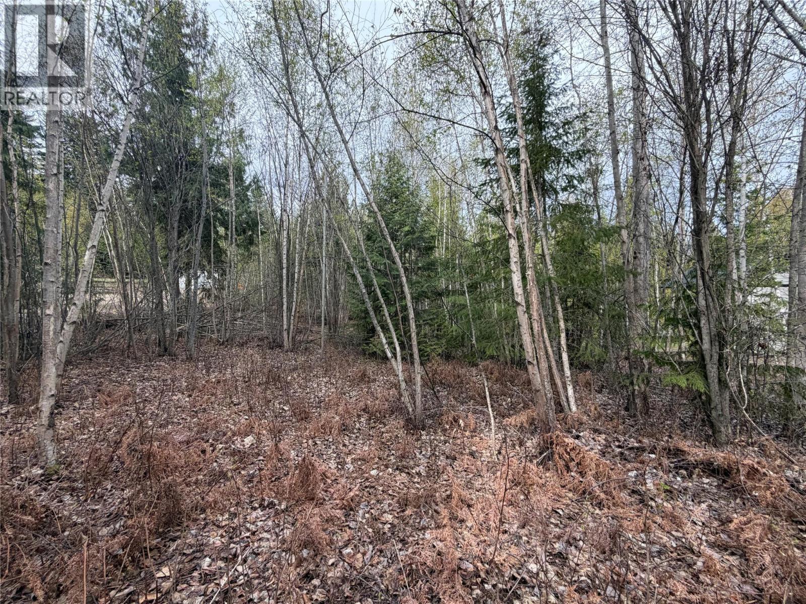 Lot 6 Mcbride Road, Blind Bay, British Columbia  V0E 1H1 - Photo 4 - 10383733