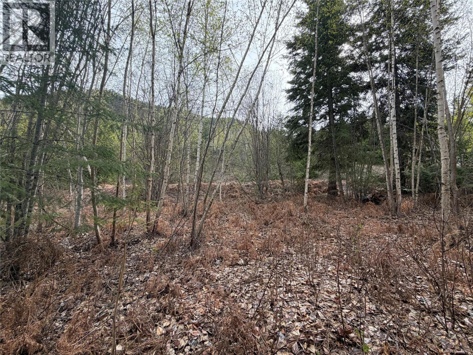 Lot 6 Mcbride Road, Blind Bay, British Columbia  V0E 1H1 - Photo 5 - 10383733