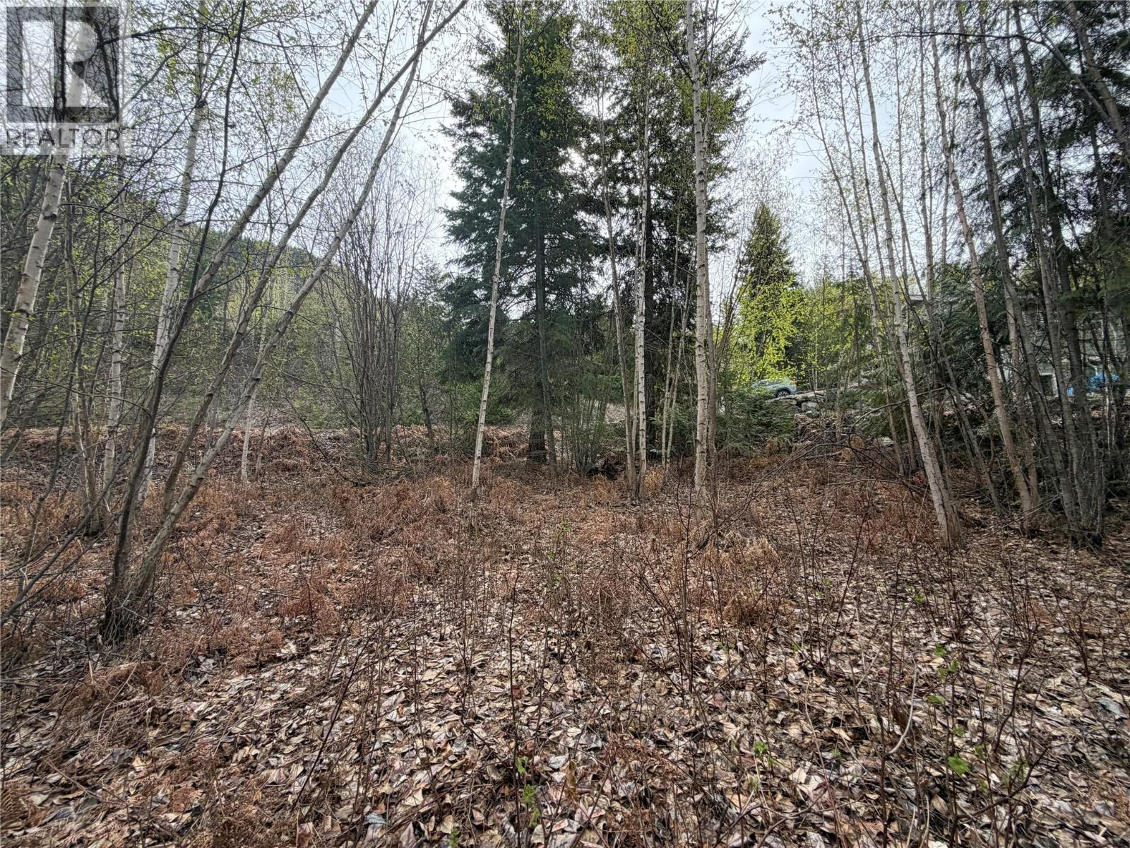 Lot 6 Mcbride Road, Blind Bay, British Columbia  V0E 1H1 - Photo 6 - 10383733