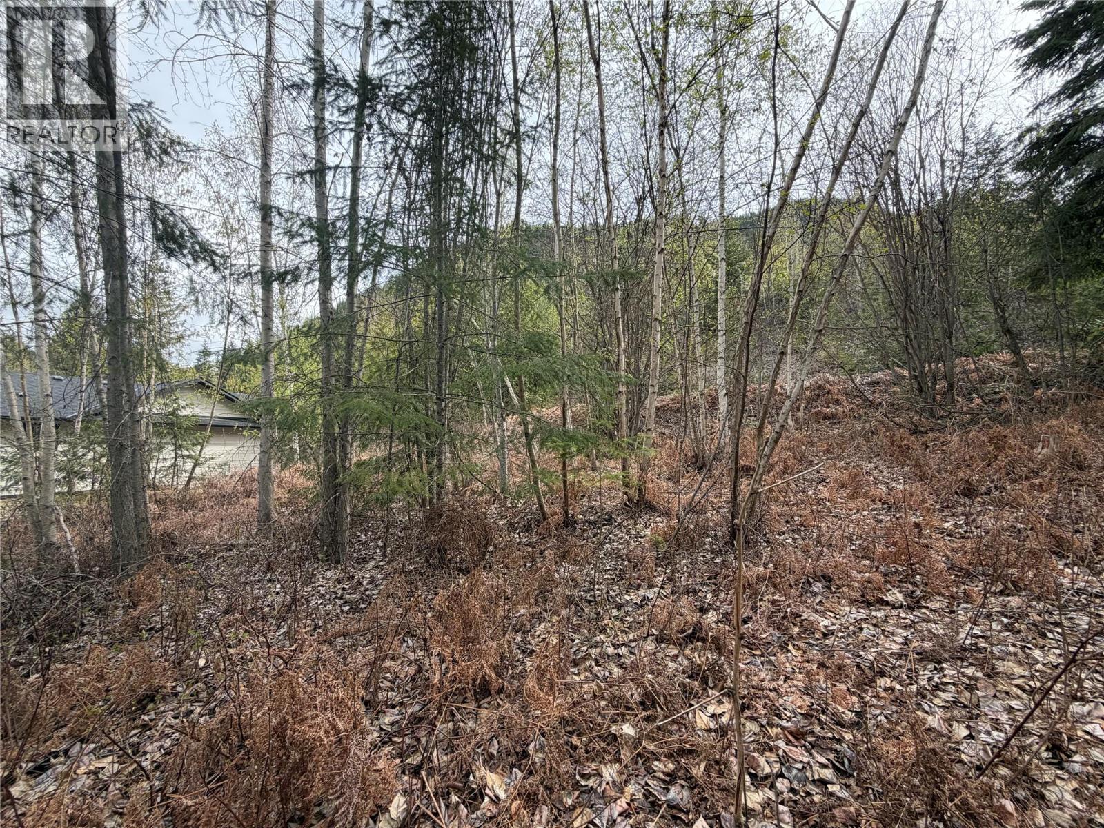 Lot 6 Mcbride Road, Blind Bay, British Columbia  V0E 1H1 - Photo 7 - 10383733