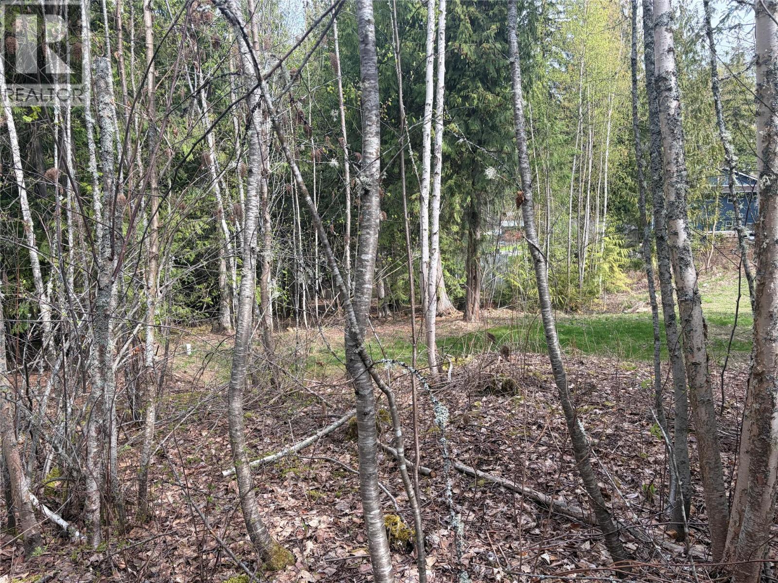 Lot 6 Mcbride Road, Blind Bay, British Columbia  V0E 1H1 - Photo 8 - 10383733